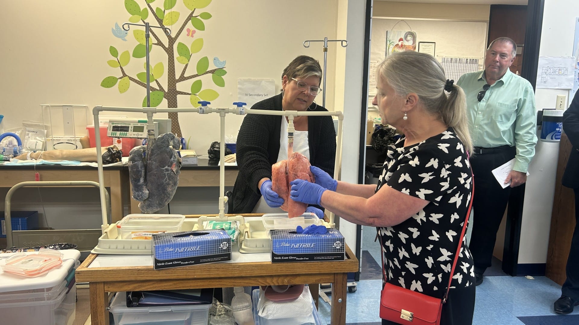 Congresswoman Susan Wild touches pig lungs used for teaching at the new Northampton Community College Interdisciplinary Healt