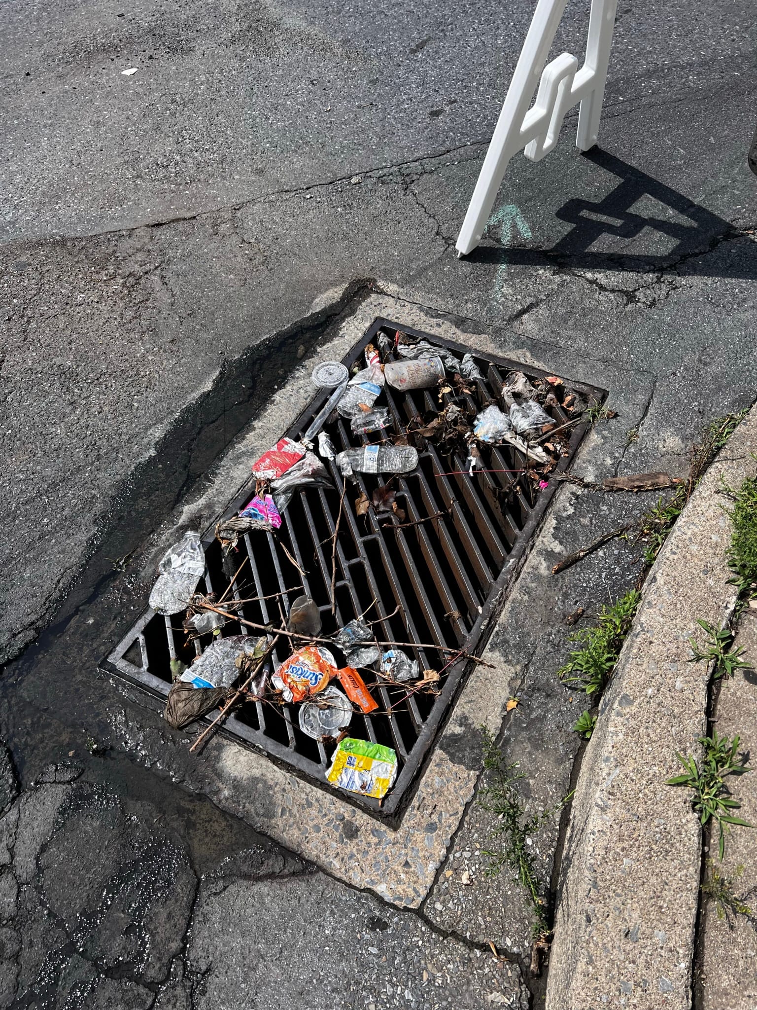 More than 50 bags of trash were collected from Allentown's streets Saturday as part of the Community and The Arts Clean Up.