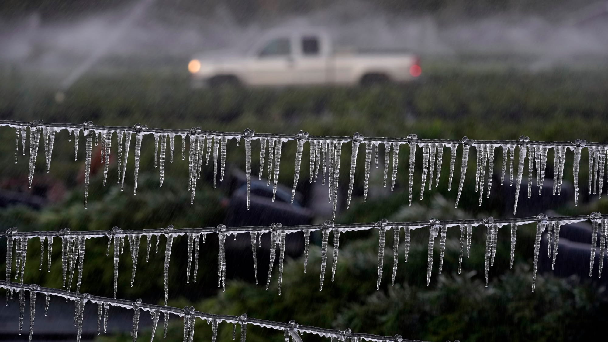 A farmer drives by an icicle covered fence as he checks on his ornamental plants before sunrise Saturday, Dec. 24, 2022, in P