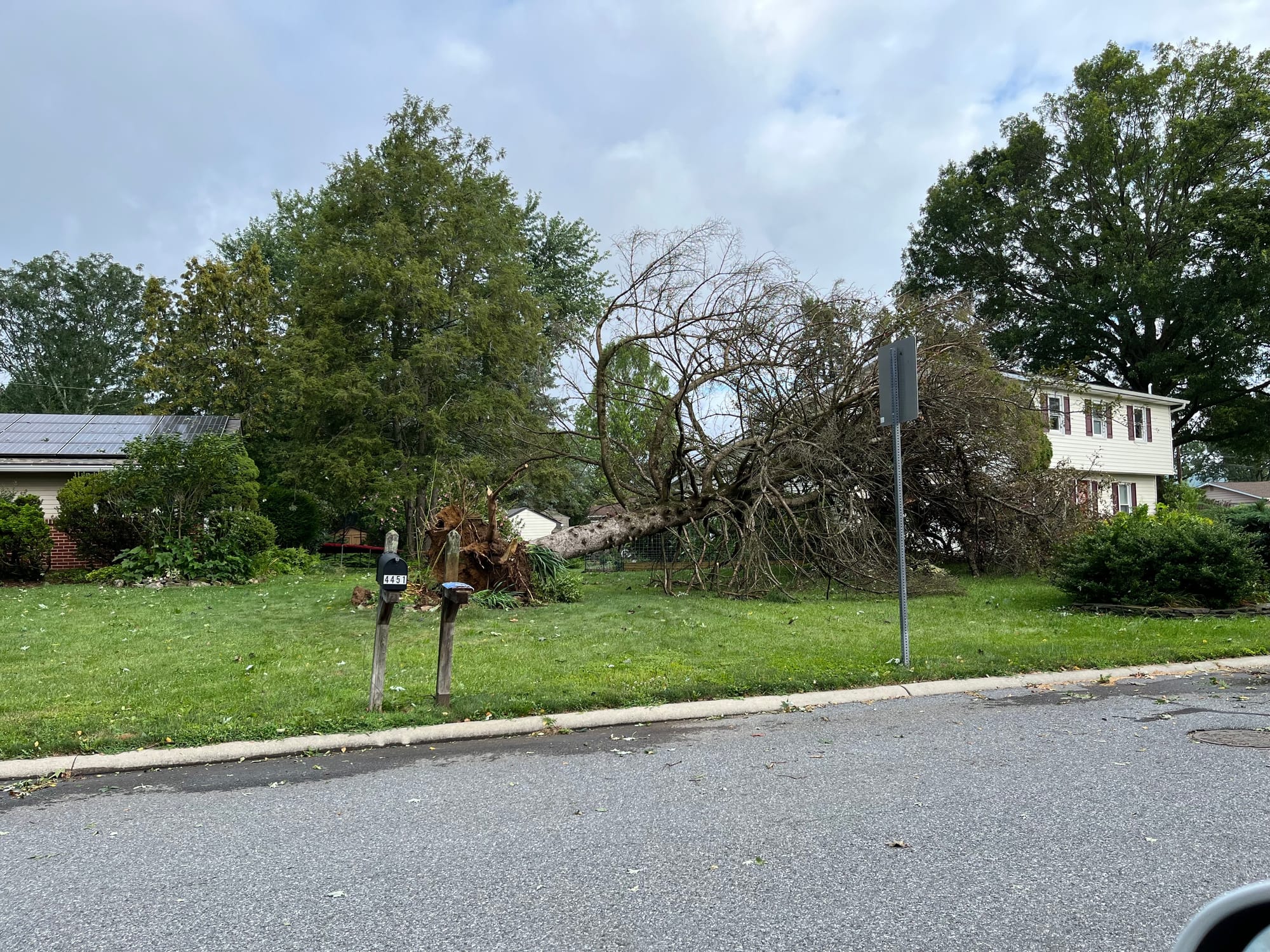 Damage was particularly heavy through the Afton Village neighborhood in Center Valley. Shown are uprooted trees at a house on