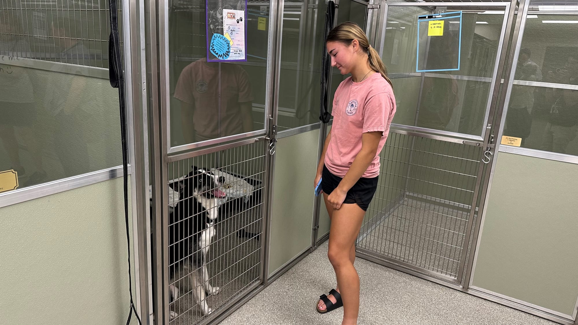 A visitor at Peaceable Kingdom bonds with a new pal.