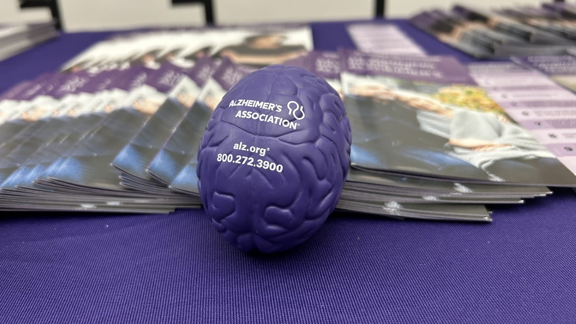 The Alzheimer’s Association recently teamed up with the Hispanic Center Lehigh Valley to hold an informational event for Span