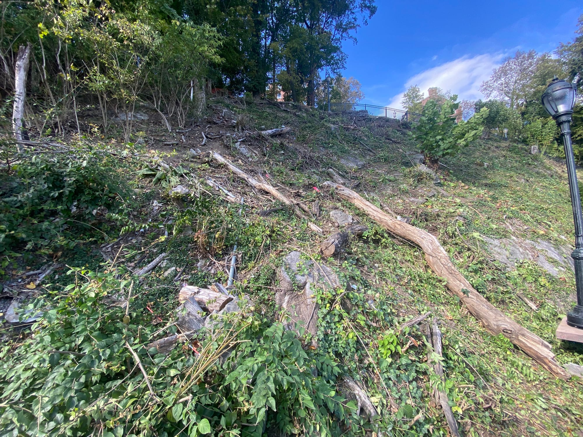 After clearing more than 40 trees and a slew of shrubs, the project violated the city’s steep slope conservation ordinance, w
