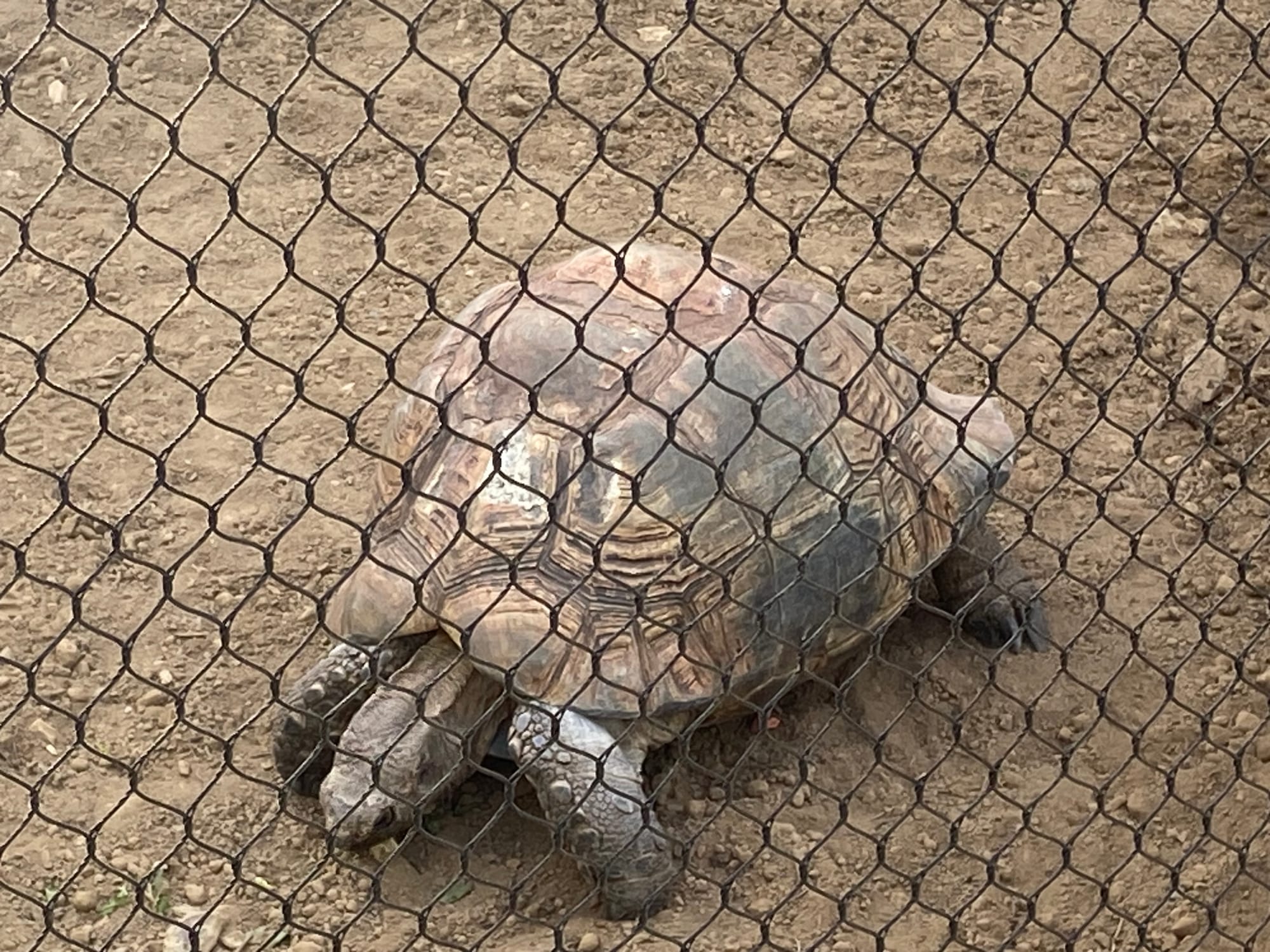 Officials gathered at Lehigh Valley Zoo, 5150 Game Preserve Road in Schnecksville, Thursday for a ribbon cutting at the zoo's