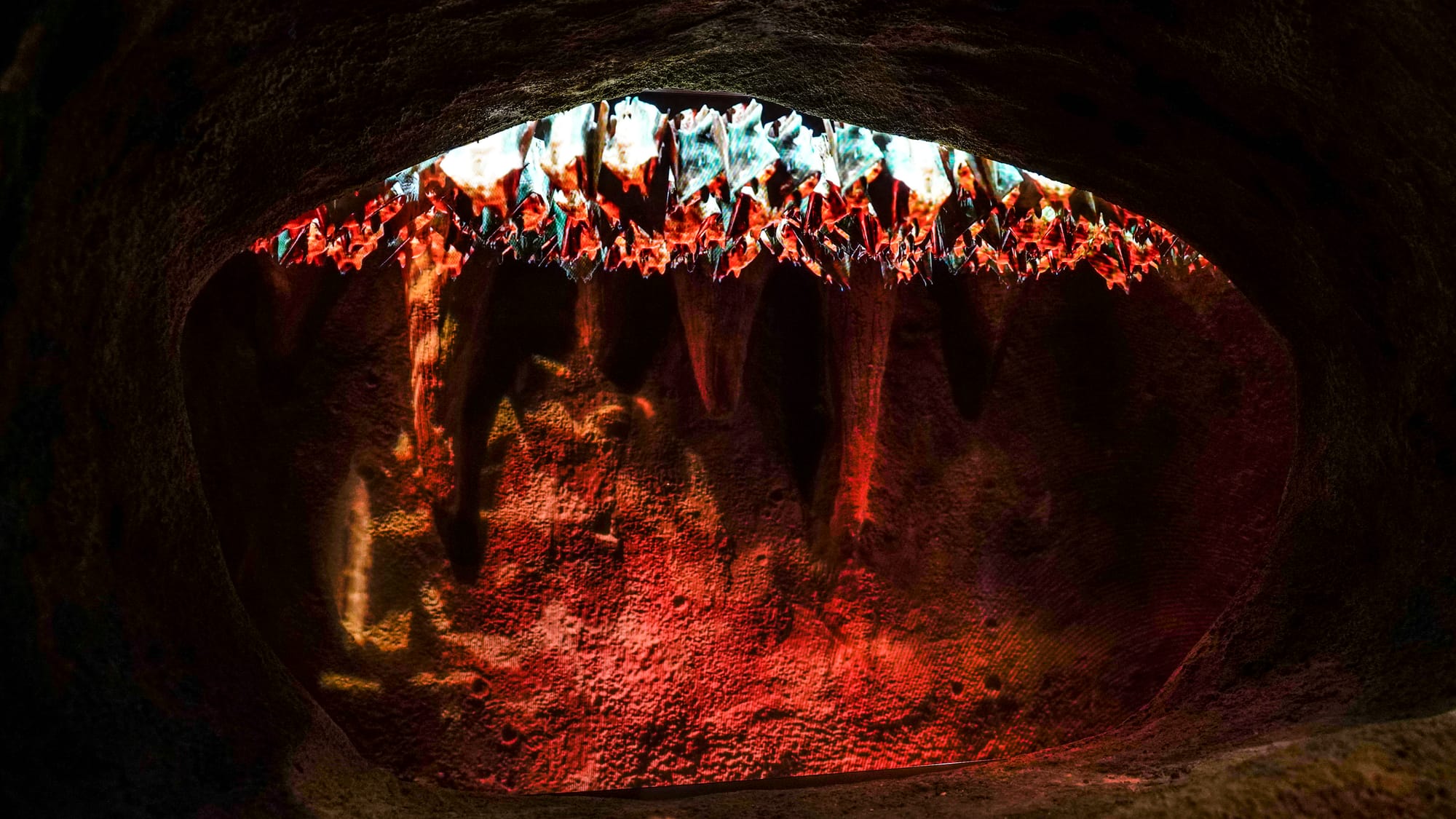 A simulated bat cave is on display. The Da Vinci Science Center at 815 Hamilton Street, Allentown, held a preview day on Wedn