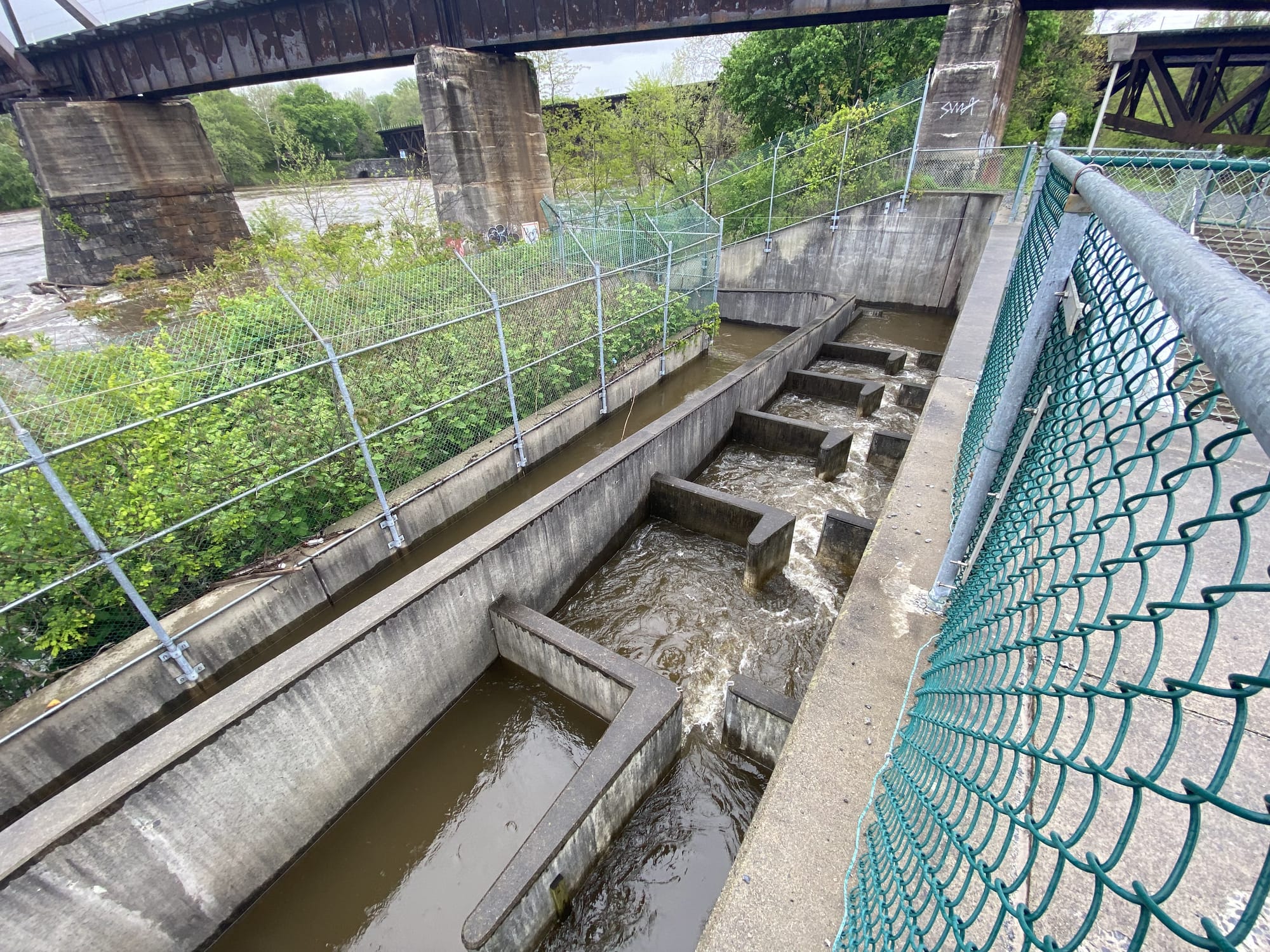 The shad ladder, connected to Easton Dam at Delaware Canal State Park, has fallen into disrepair.