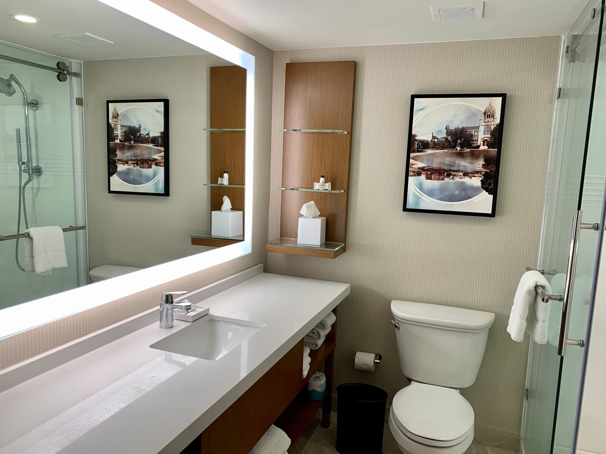 The bathroom in a room in Delta by Marriott Allentown Lehigh Valley