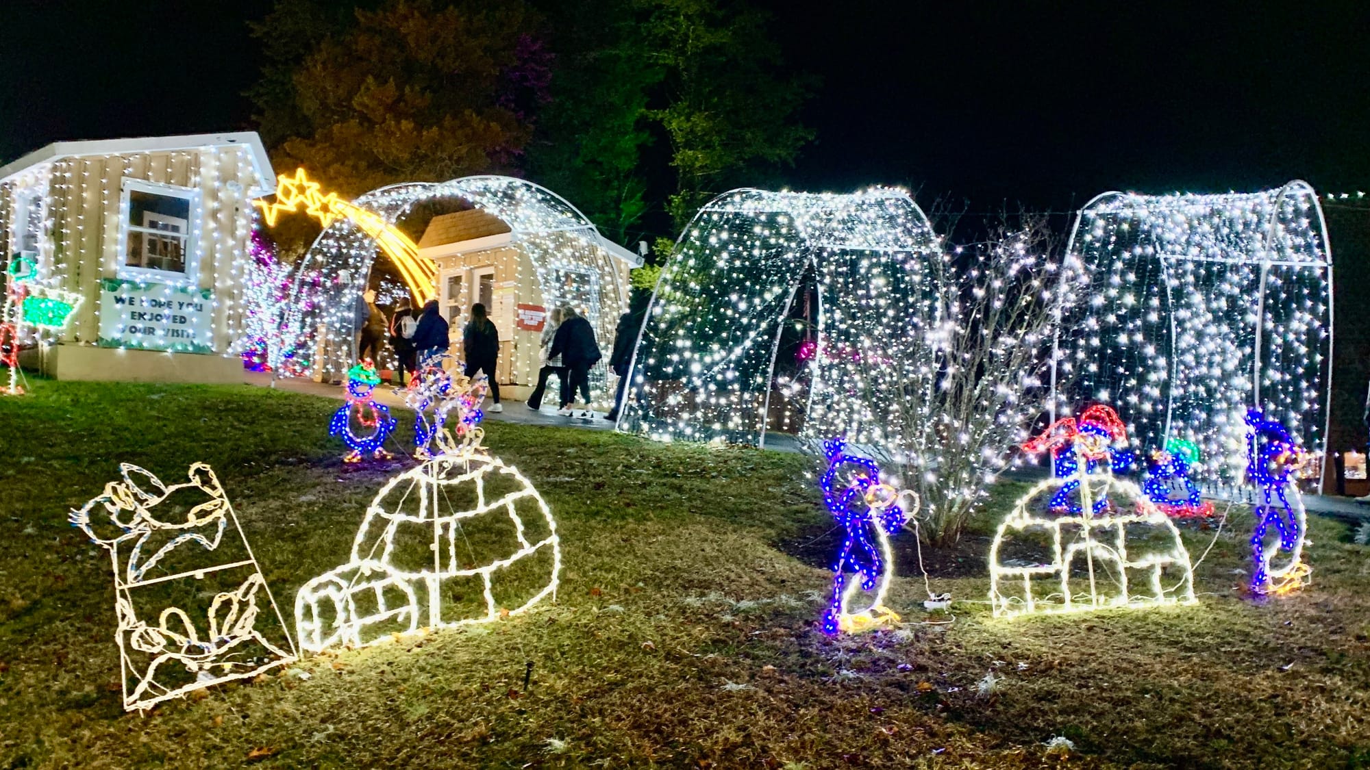 Lights at the Winter Light Spectacular.