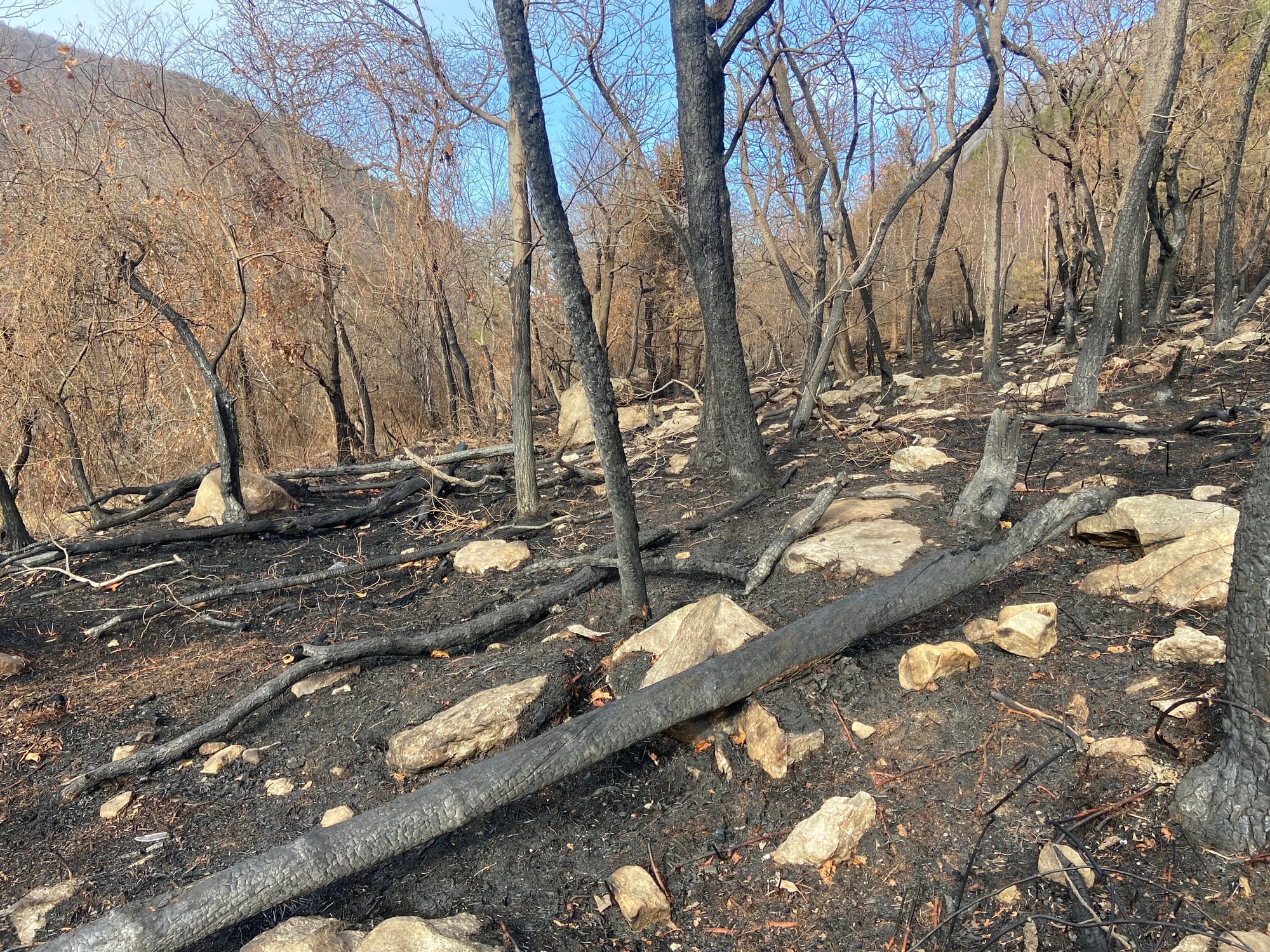 The aftermath of the Blue Mountain fire. Photo taken Wednesday, Nov. 27, 2024.