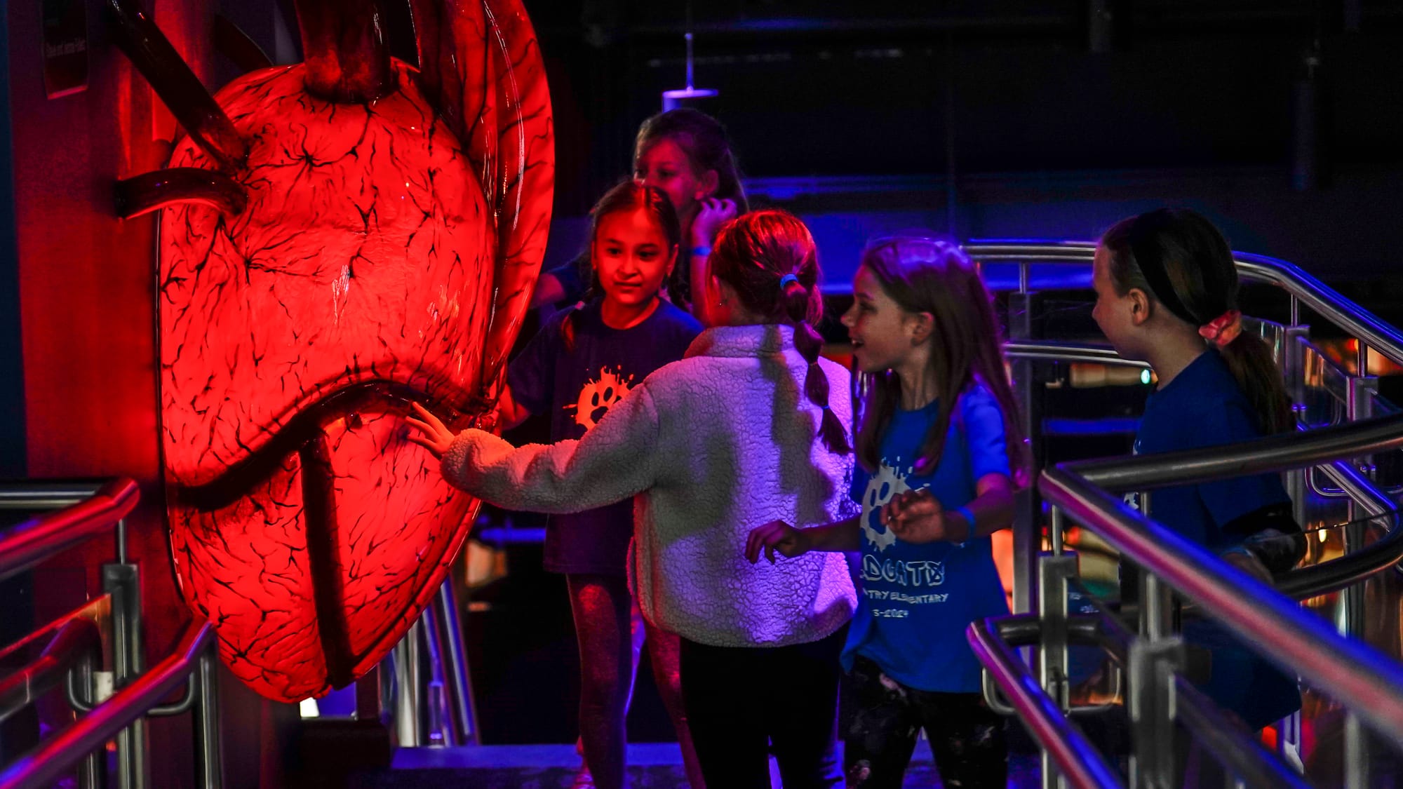 Students examine a large human heart. The Da Vinci Science Center at 815 Hamilton Street, Allentown, held a preview day on We