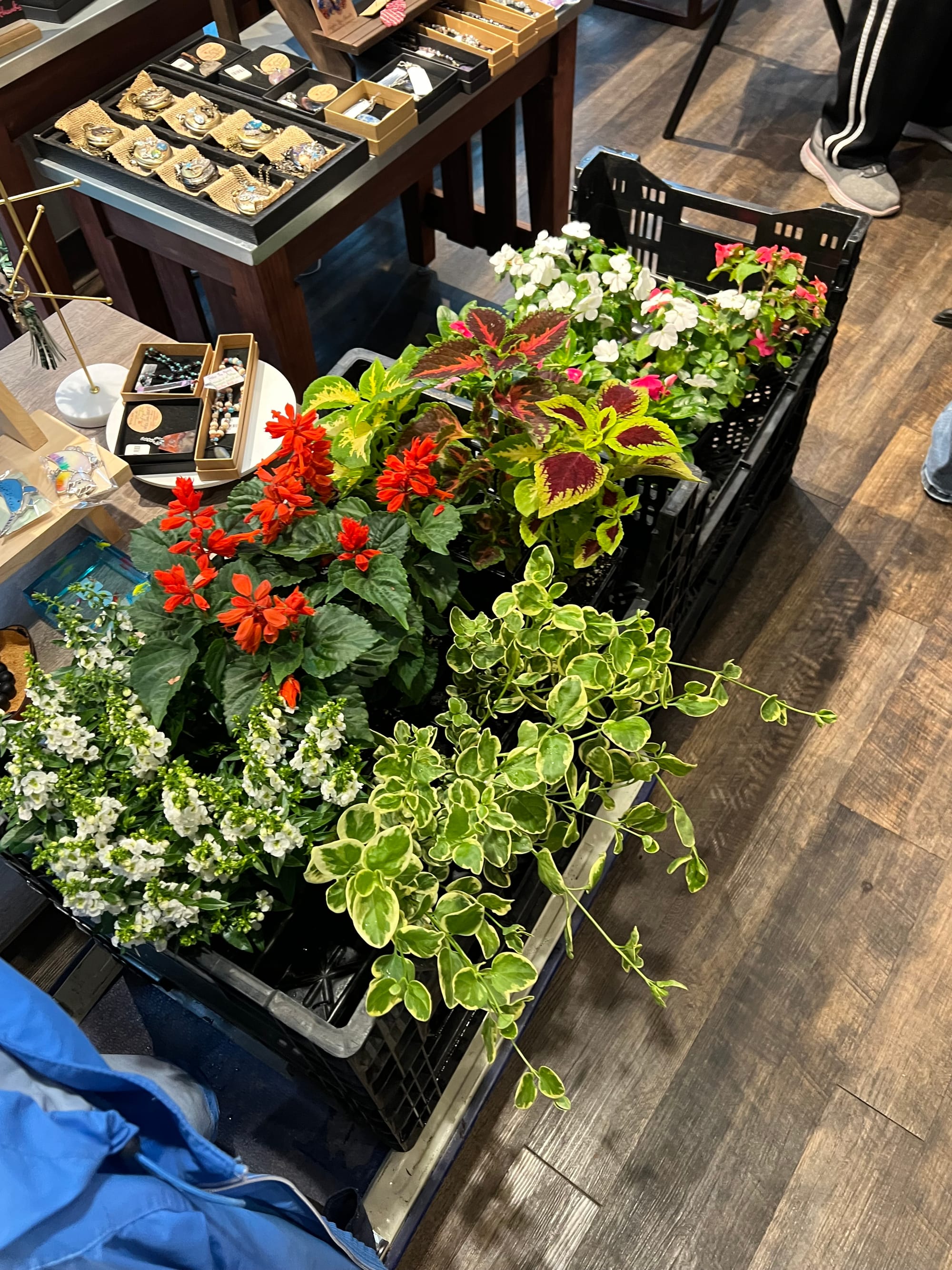 The hourlong "Breathe Easy" Lunchtime Plant Therapy workshops are happening in Allentown.