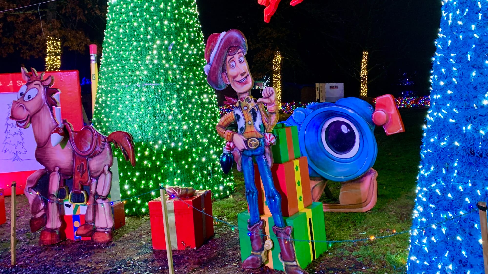 The Toy Story at the Winter Light Spectacular.