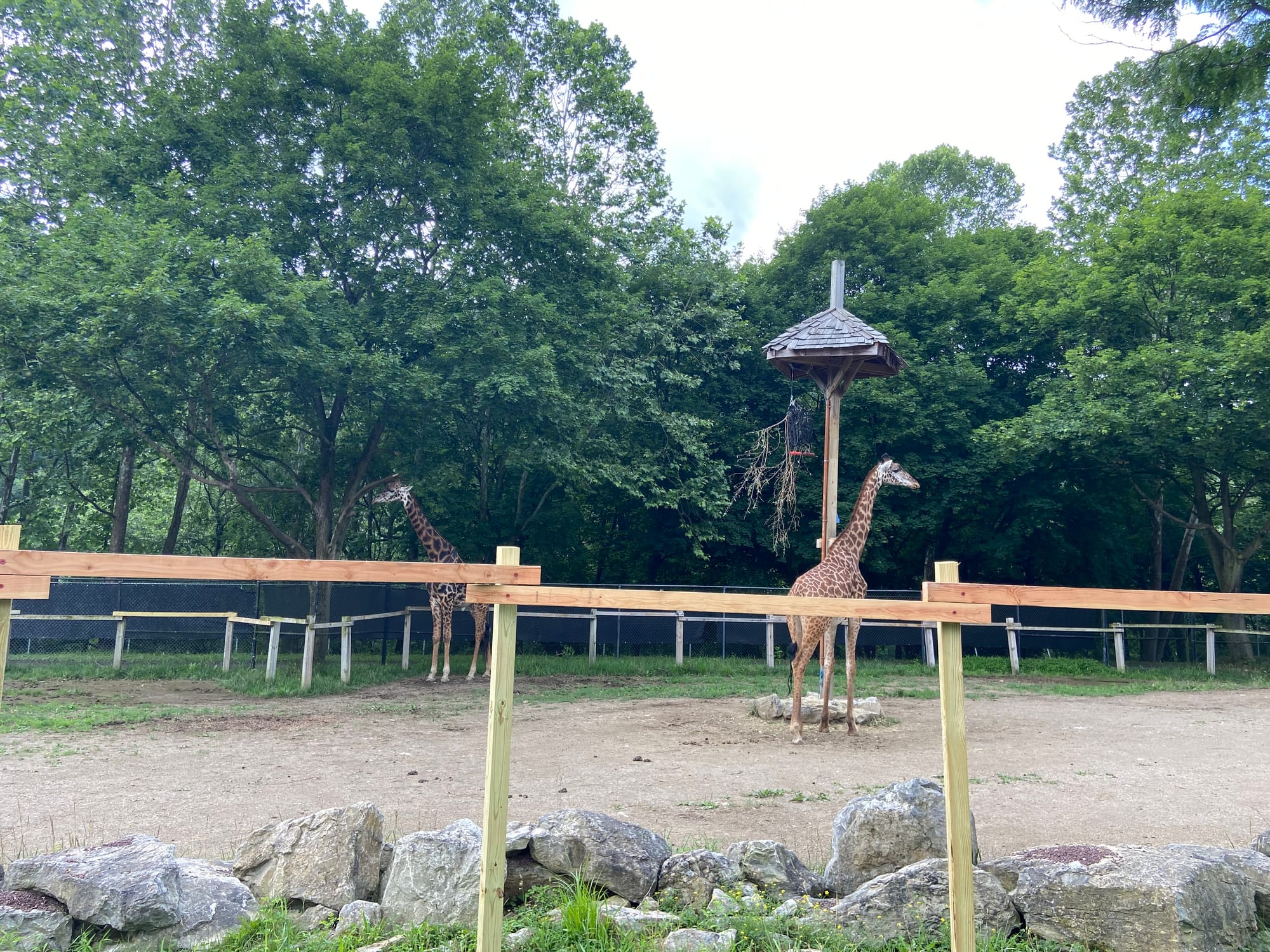 The Lehigh Valley Zoo on Tuesday held its annual "Independence Day Celebration." The event included patriotic enrichment for 