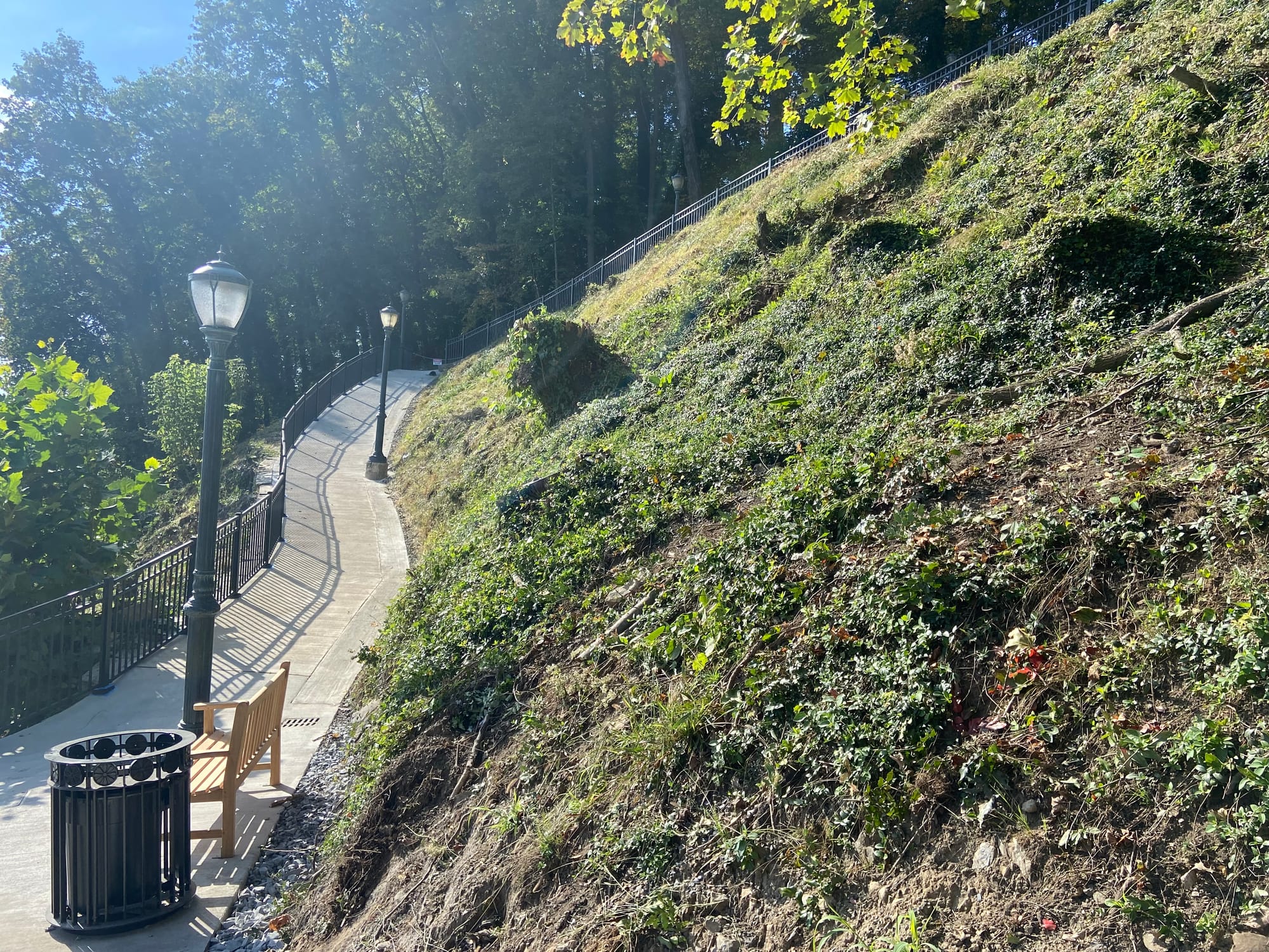 After clearing more than 40 trees and a slew of shrubs, the project violated the city’s steep slope conservation ordinance, w