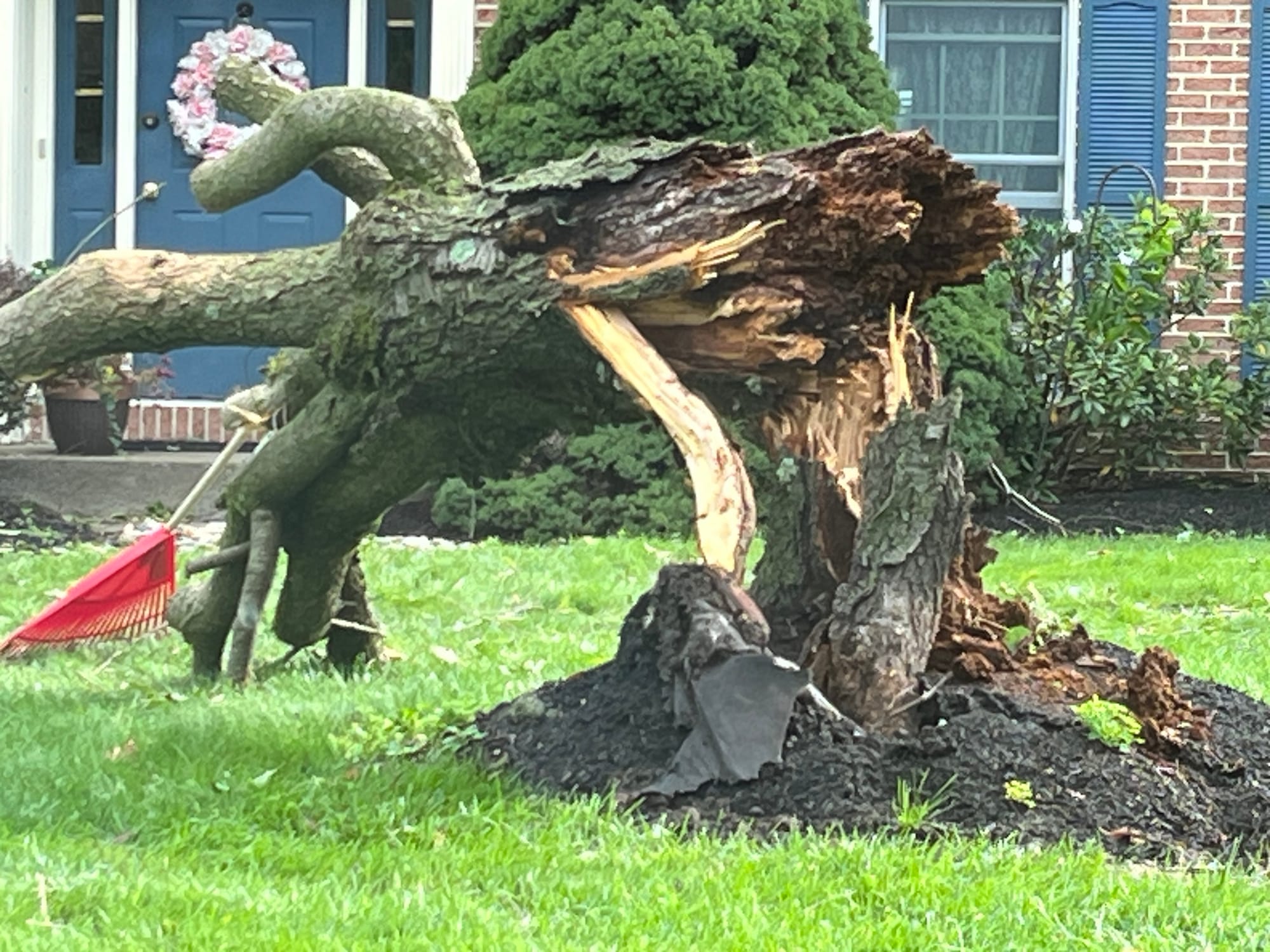 A front yard on Aberdeen St. In Center Valley