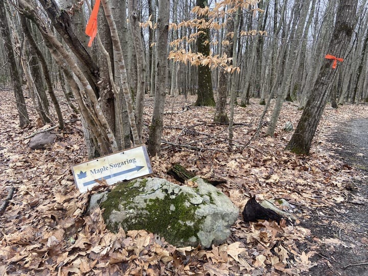 Educators guided visitors through the history of maple syrup production at the Monroe County Conservation District’s Singing 
