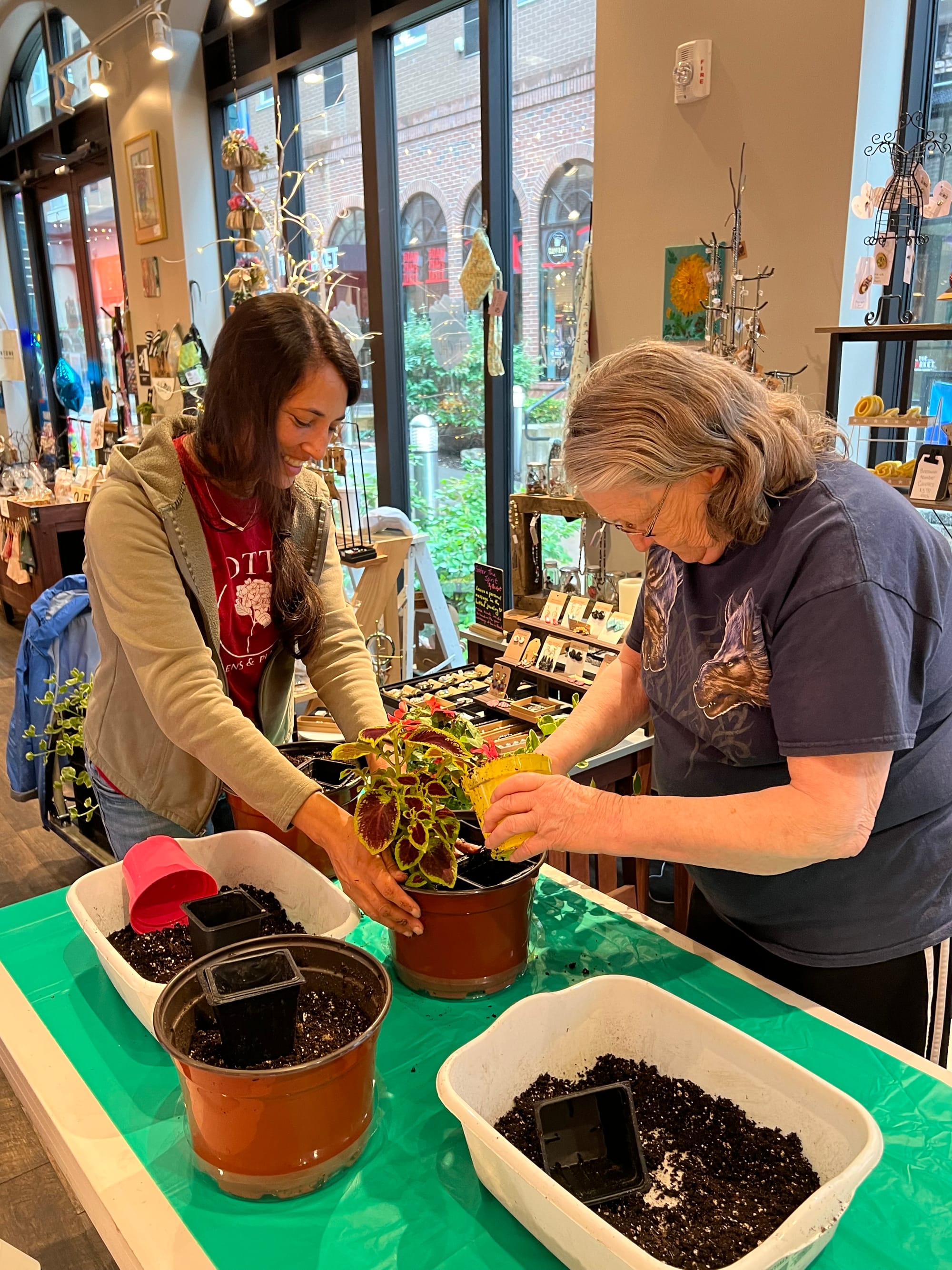 The hourlong "Breathe Easy" Lunchtime Plant Therapy workshops are happening in Allentown.