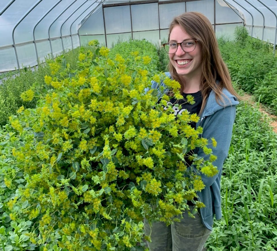 Flowers from the greenhouse at Bee Well Blooms in Upper Saucon Township