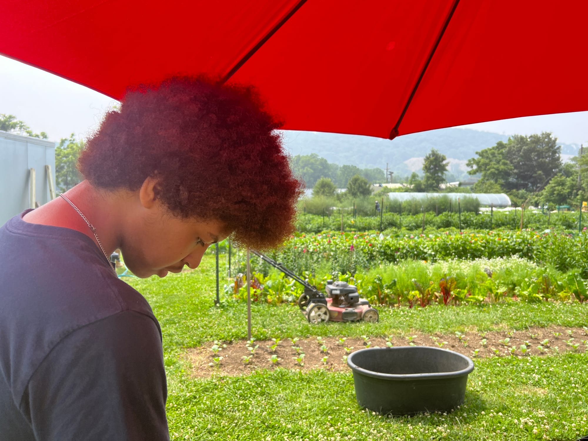 Elijah Walters plants his catnip.
