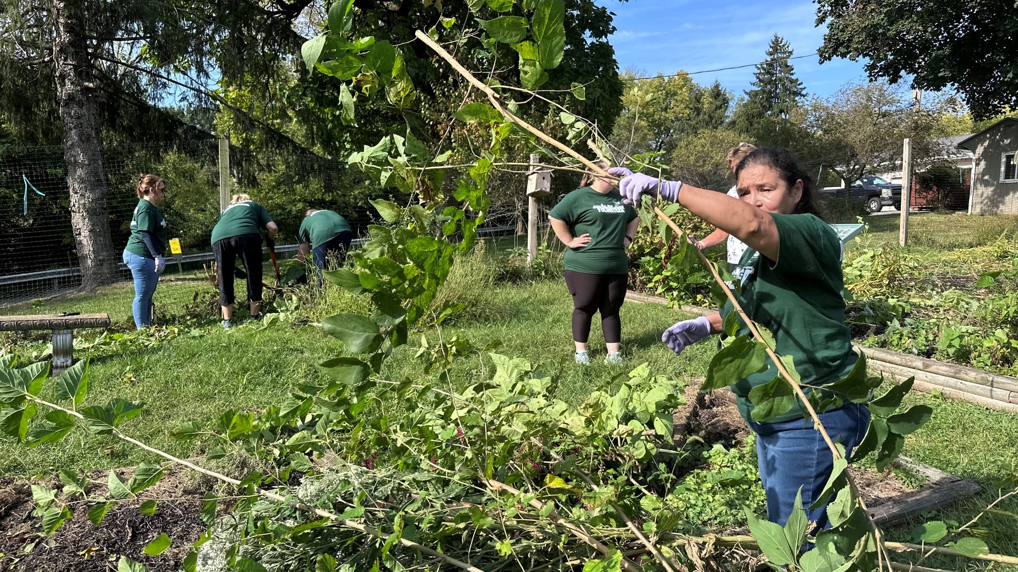 Volunteers from Crayola clear debris and annual plants from the garden at the Children's Home of Easton part of the 31st annu