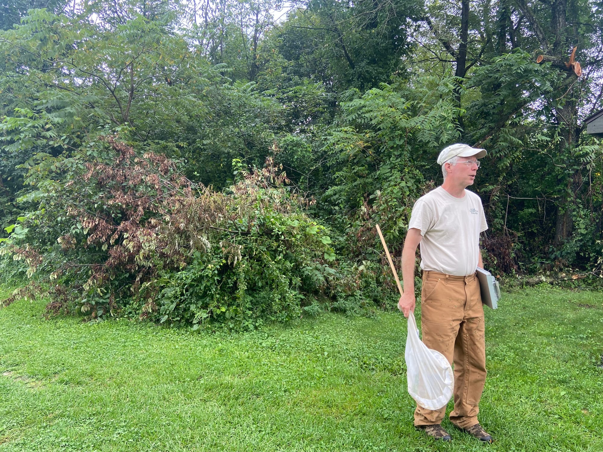 Officials at Jacobsburg Environmental Education Center on Wednesday held their annual "Monarch Madness" event for adults. Vol