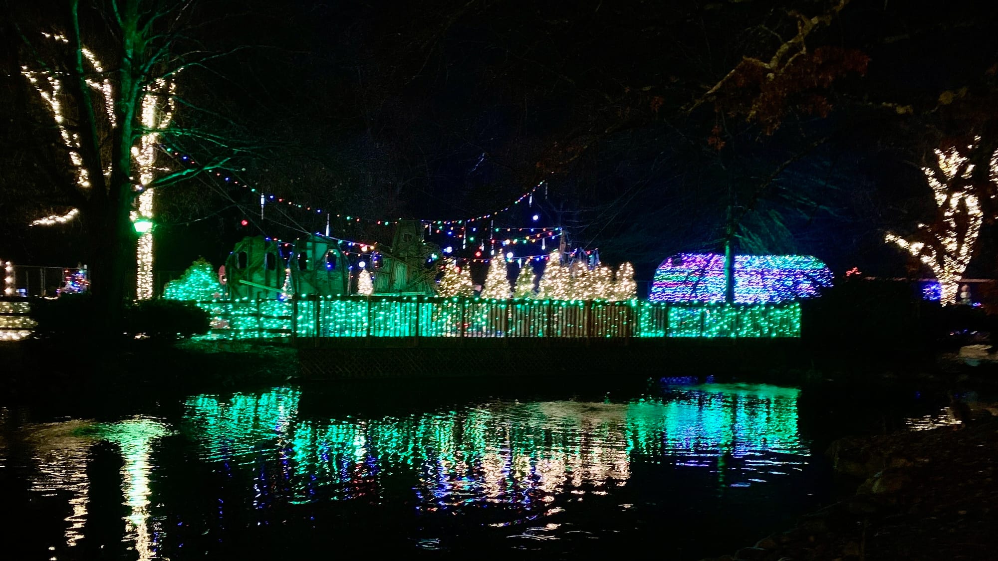 Lights at the Winter Light Spectacular.