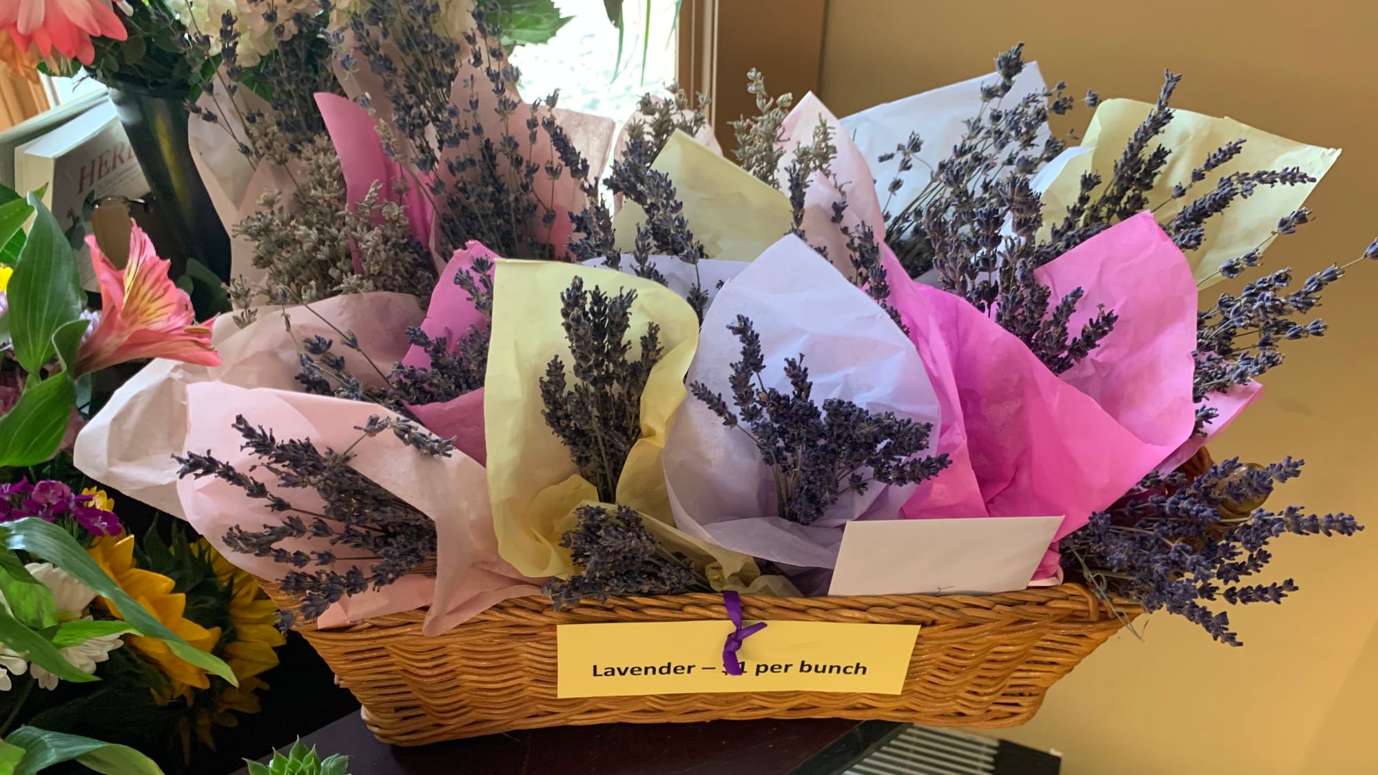 Lavender plants for sale at Bethlehem flower show