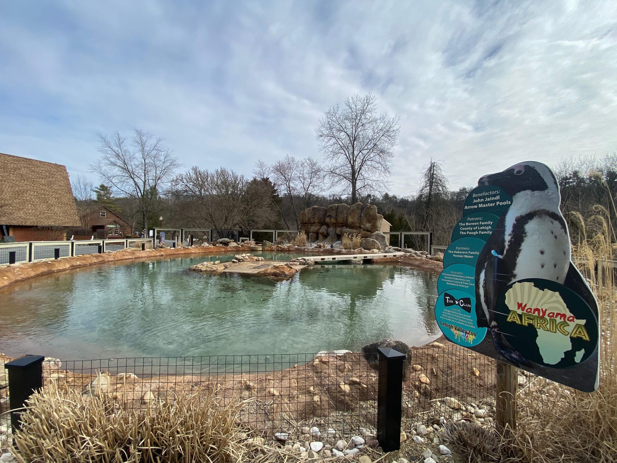Three African penguins recently joined the Lehigh Valley Zoo's colony, bringing the total to 14. Cogsworth, LeFou and Lumiere