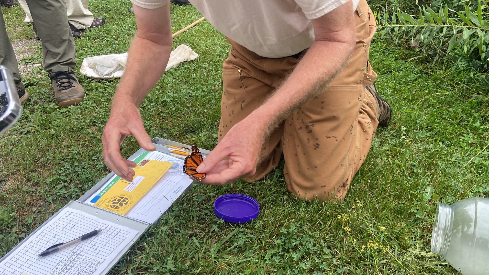 Officials at Jacobsburg Environmental Education Center on Wednesday held their annual "Monarch Madness" event for adults. Vol