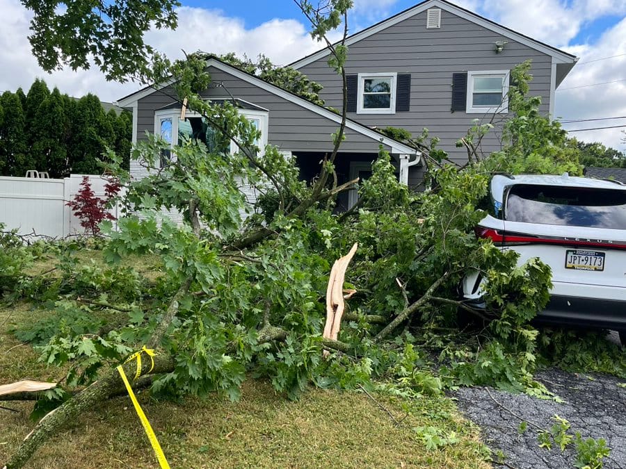 Wednesday night’s storm tore off chunks of a large tree that landed on the home and vehicles at Pennsylvania Avenue and Robin