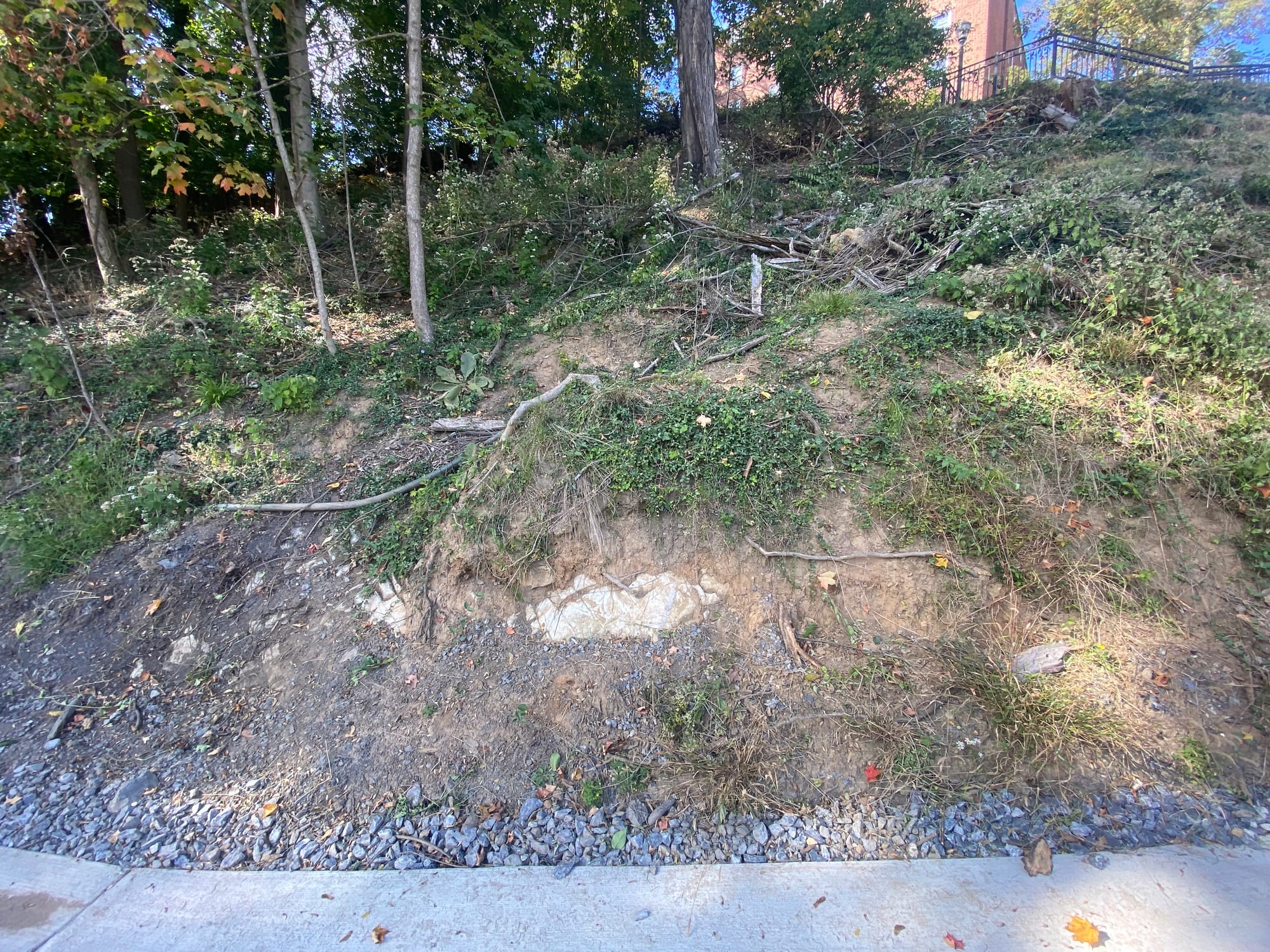 After clearing more than 40 trees and a slew of shrubs, the project violated the city’s steep slope conservation ordinance, w