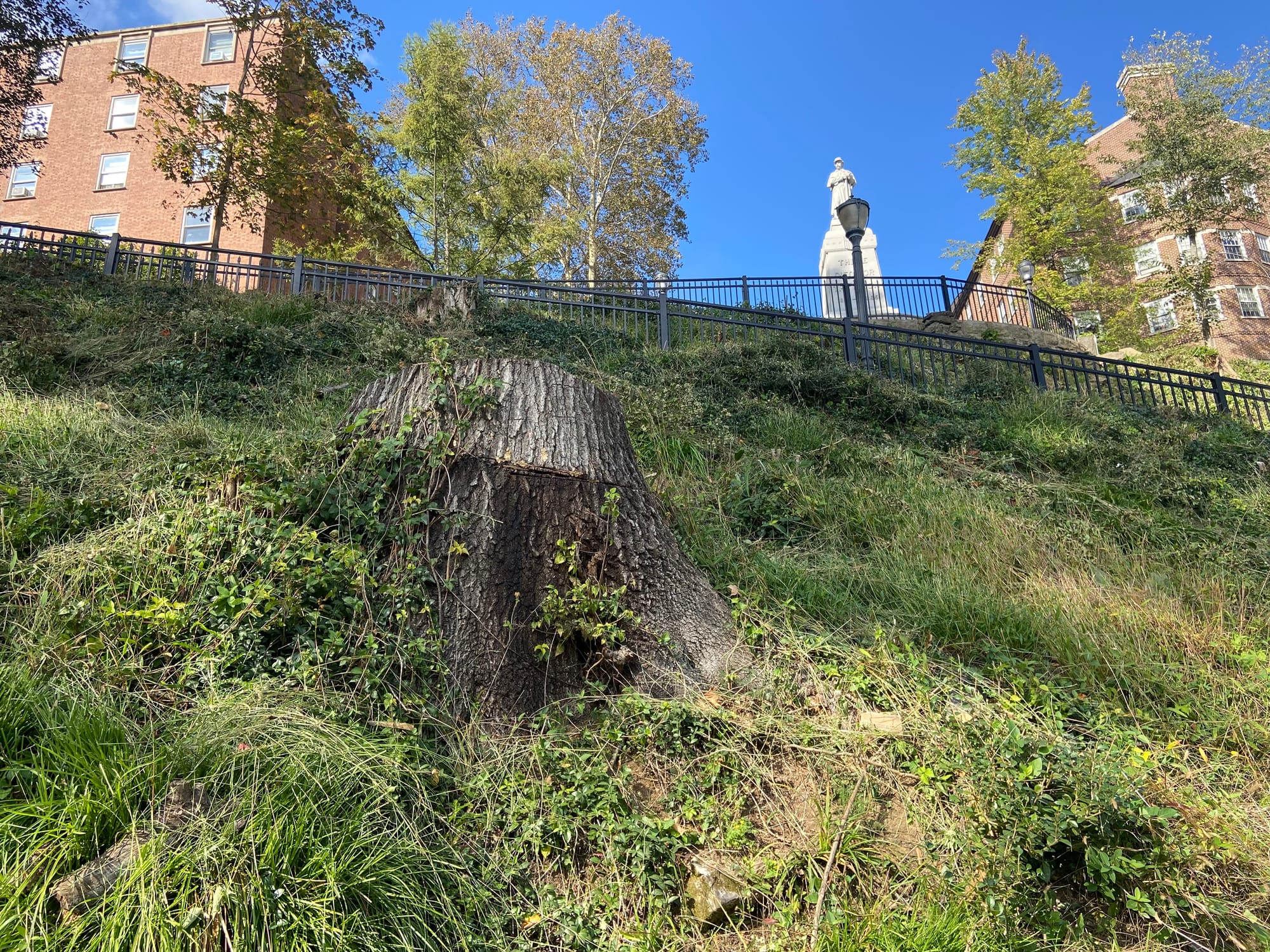 After clearing more than 40 trees and a slew of shrubs, the project violated the city’s steep slope conservation ordinance, w
