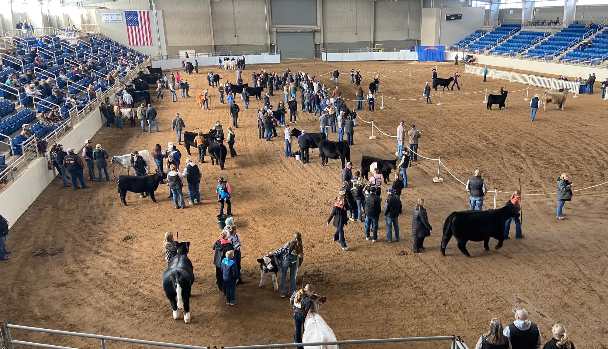 The 109th PA Farm Show opened Friday. Billed as the largest indoor agricultural event in the world, it includes 24 acres of a