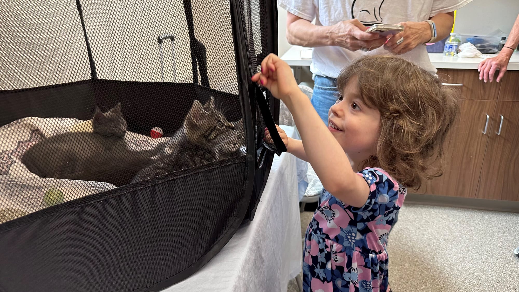 A young visitor at Peaceable Kingdom gets an opportunity to play with some kittens.
