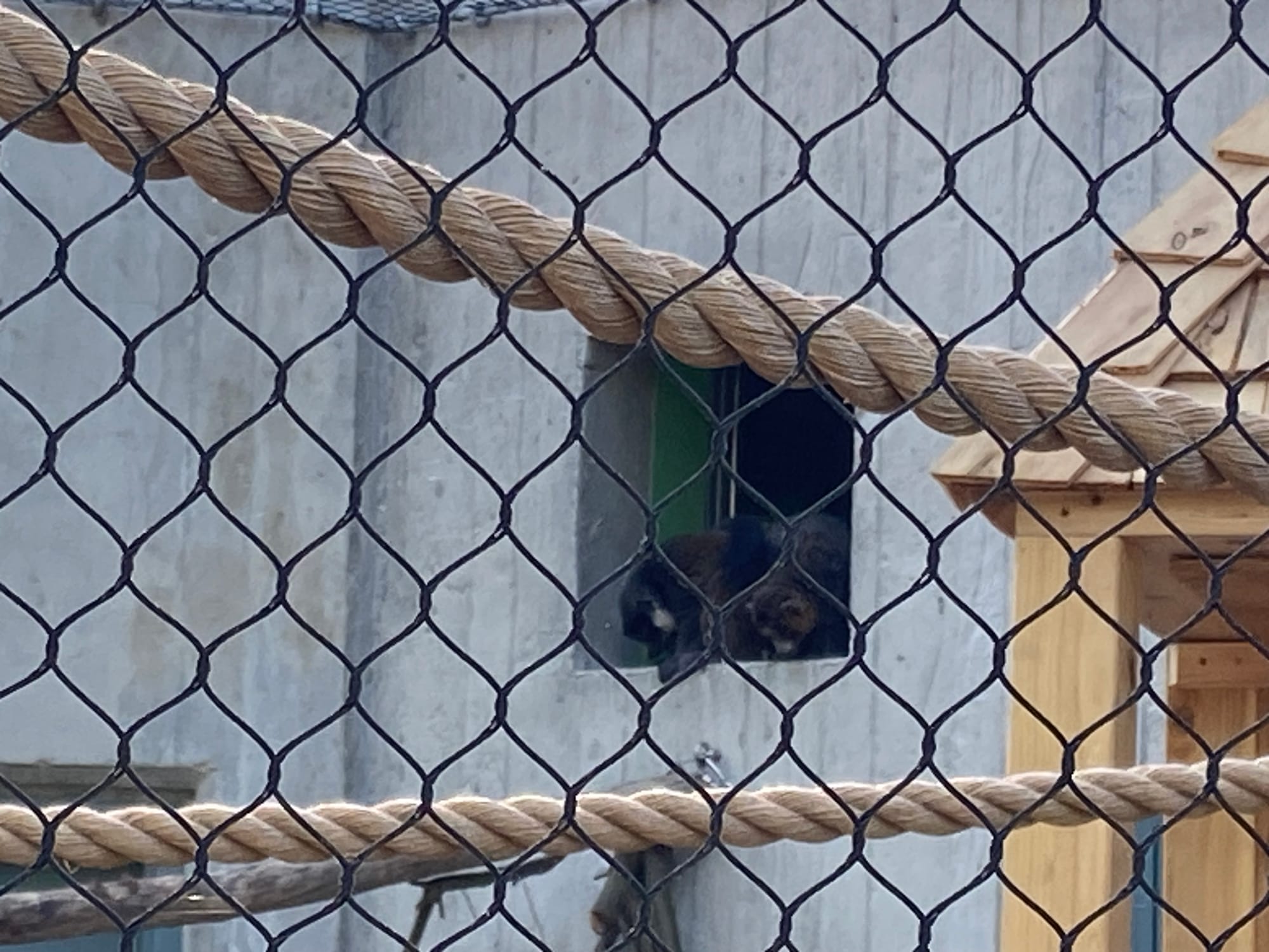Officials gathered at Lehigh Valley Zoo, 5150 Game Preserve Road in Schnecksville, Thursday for a ribbon cutting at the zoo's