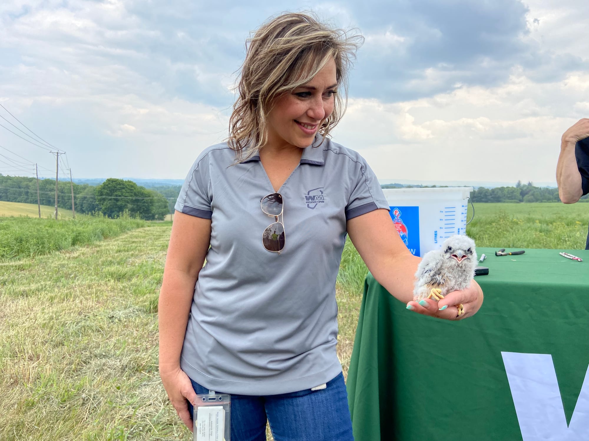 Five American kestrels, four male and one female, were banded Thursday afternoon at Grand Central Landfill in Pen Argyl.