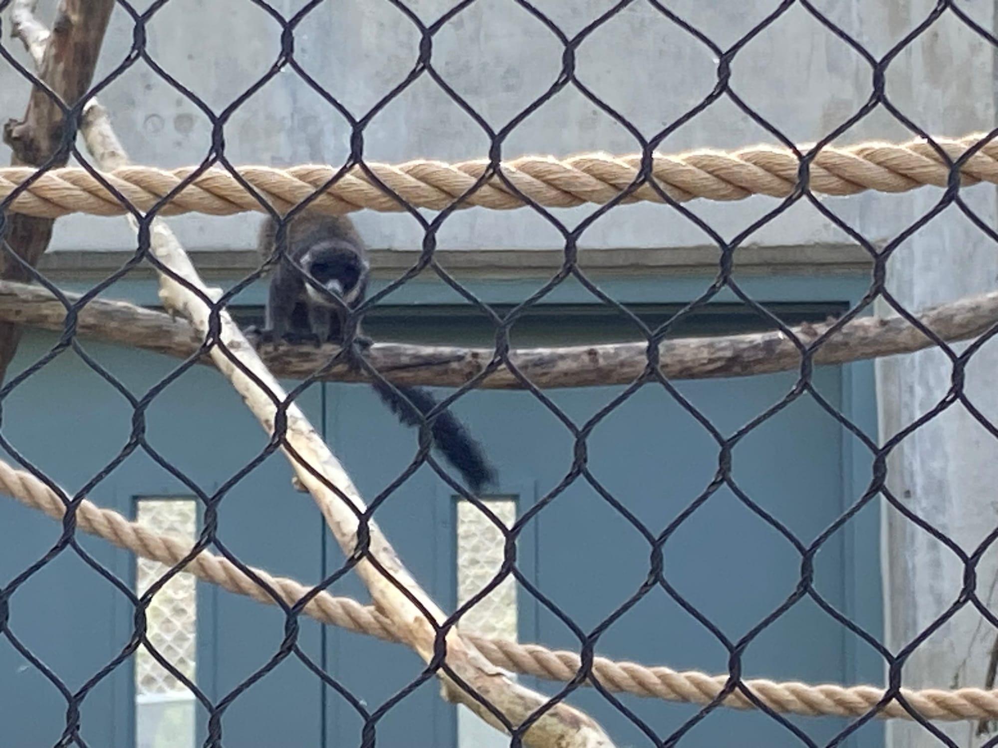 Officials gathered at Lehigh Valley Zoo, 5150 Game Preserve Road in Schnecksville, Thursday for a ribbon cutting at the zoo's