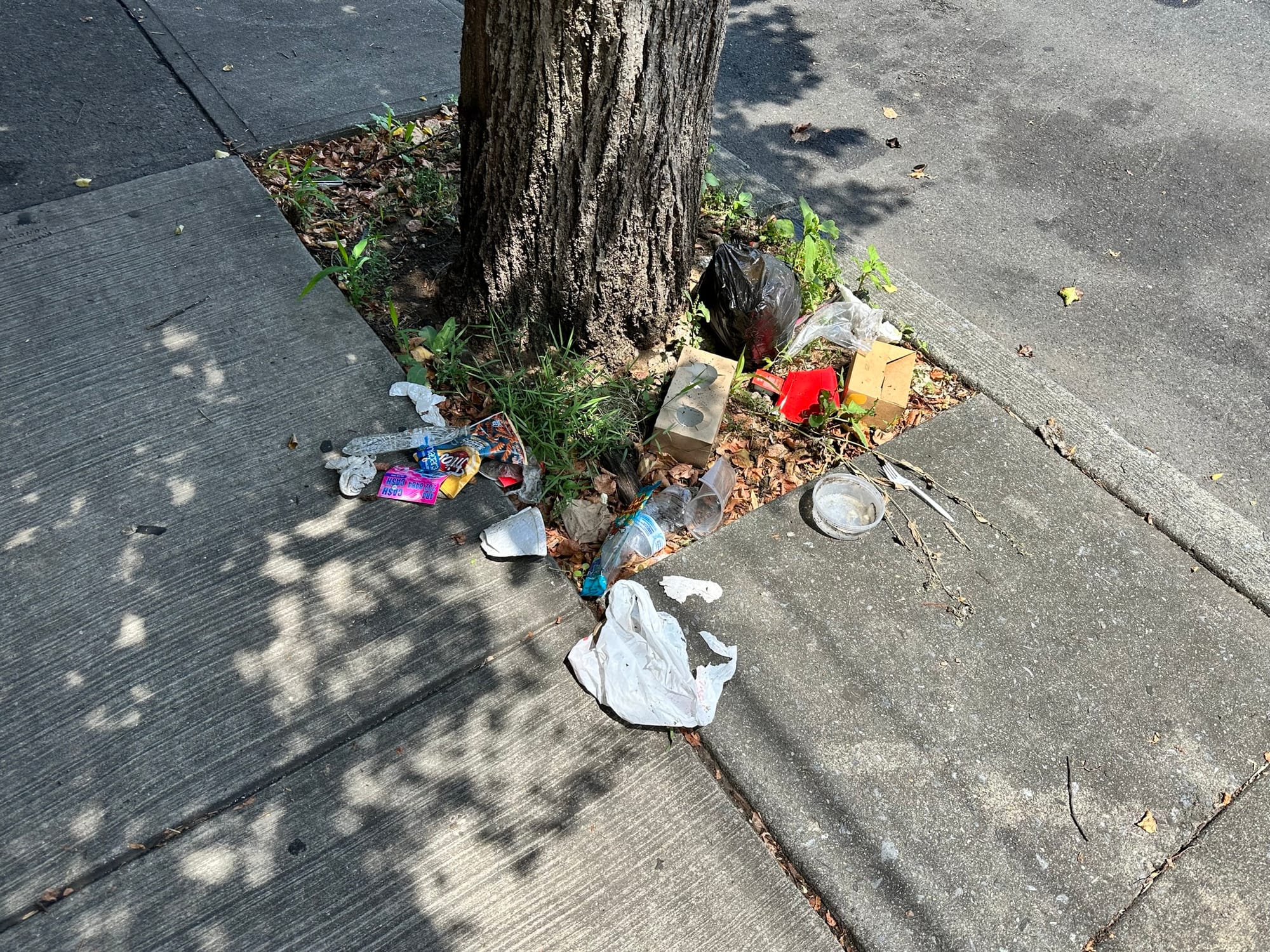 More than 50 bags of trash were collected from Allentown's streets Saturday as part of the Community and The Arts Clean Up.