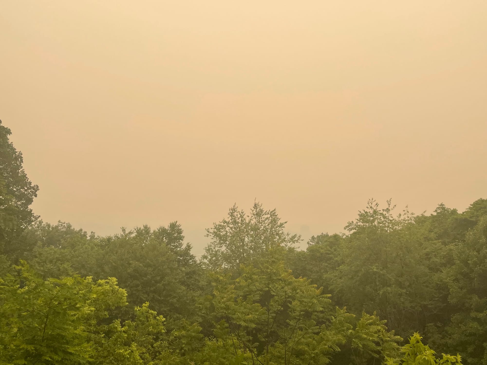 Lehigh Lookout, June 7, 2023.