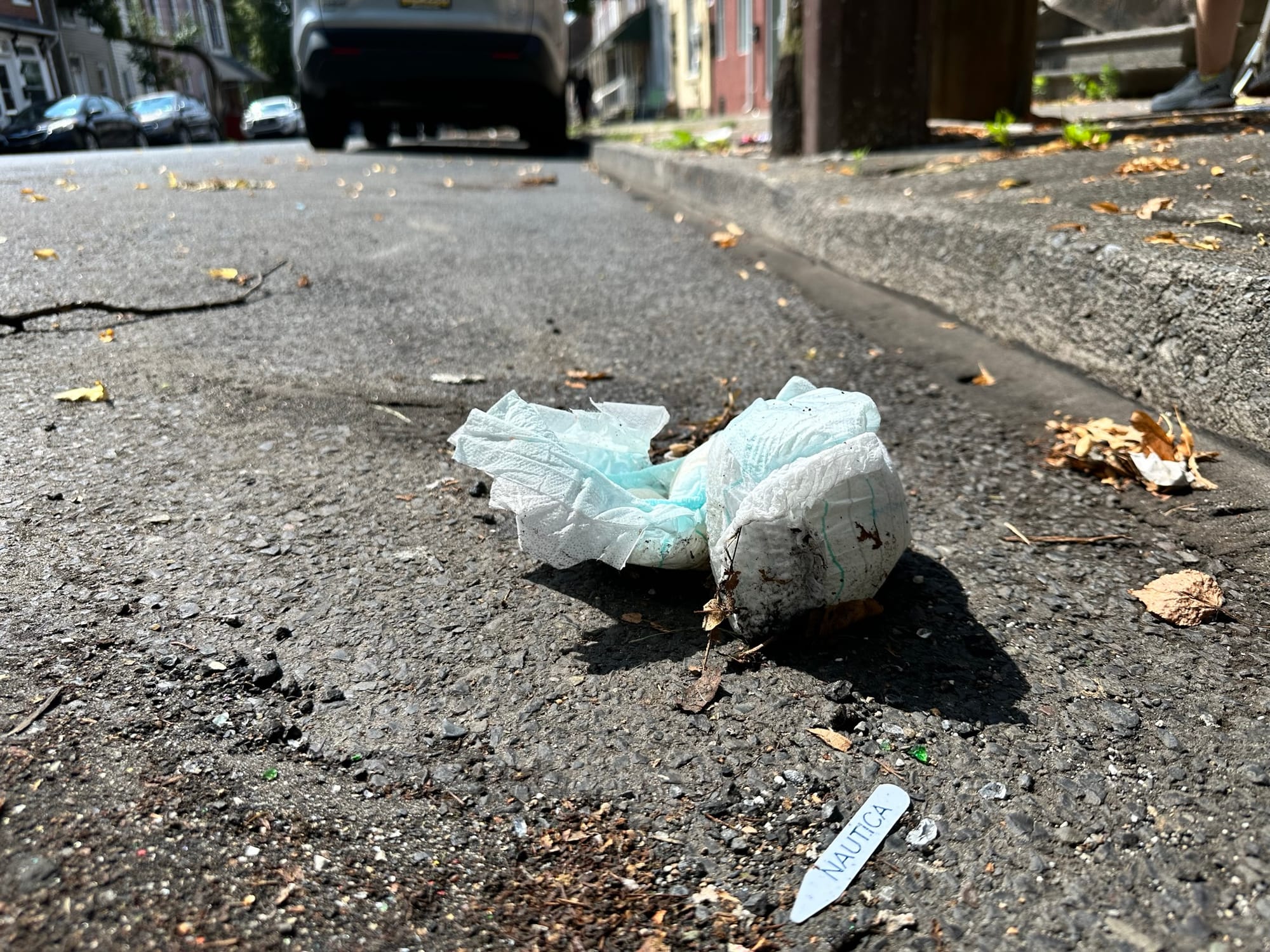 More than 50 bags of trash were collected from Allentown's streets Saturday as part of the Community and The Arts Clean Up.