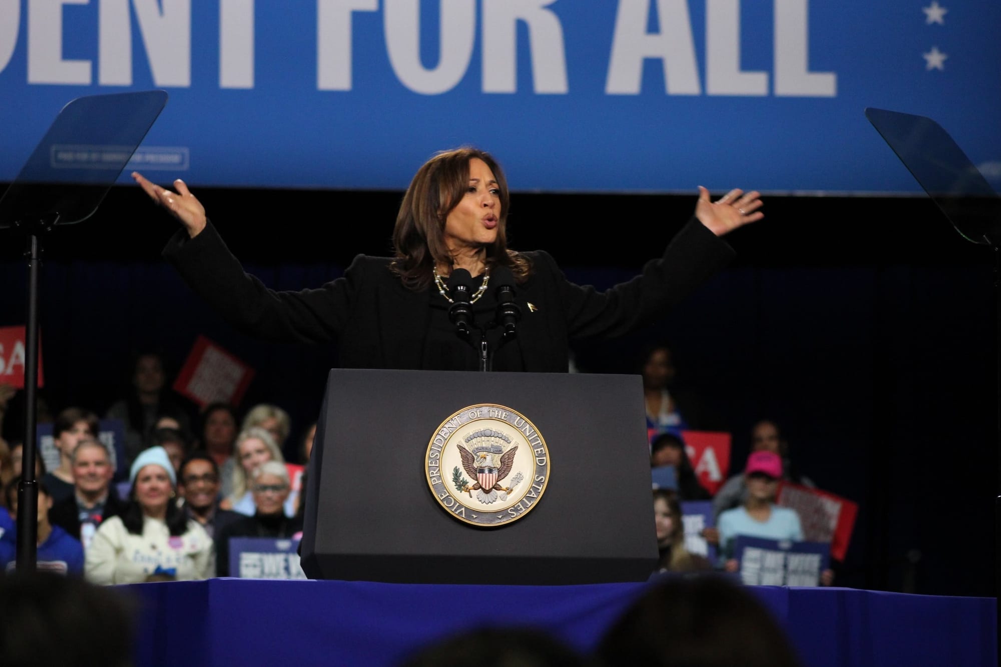 Vice President Kamala Harris speaks at a campaign rally in Allentown at Muhlenberg College just before Election Day.