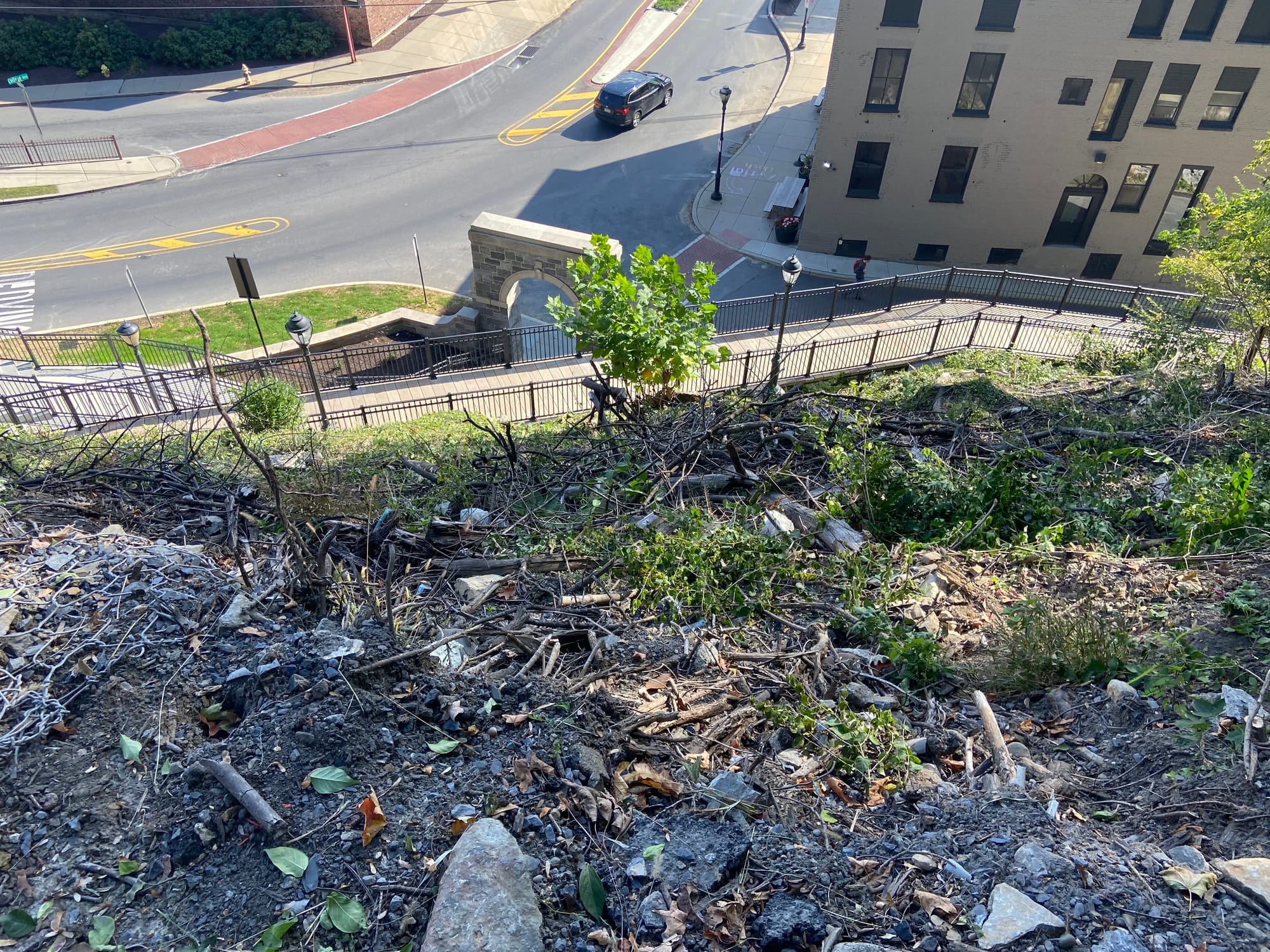 After clearing more than 40 trees and a slew of shrubs, the project violated the city’s steep slope conservation ordinance, w