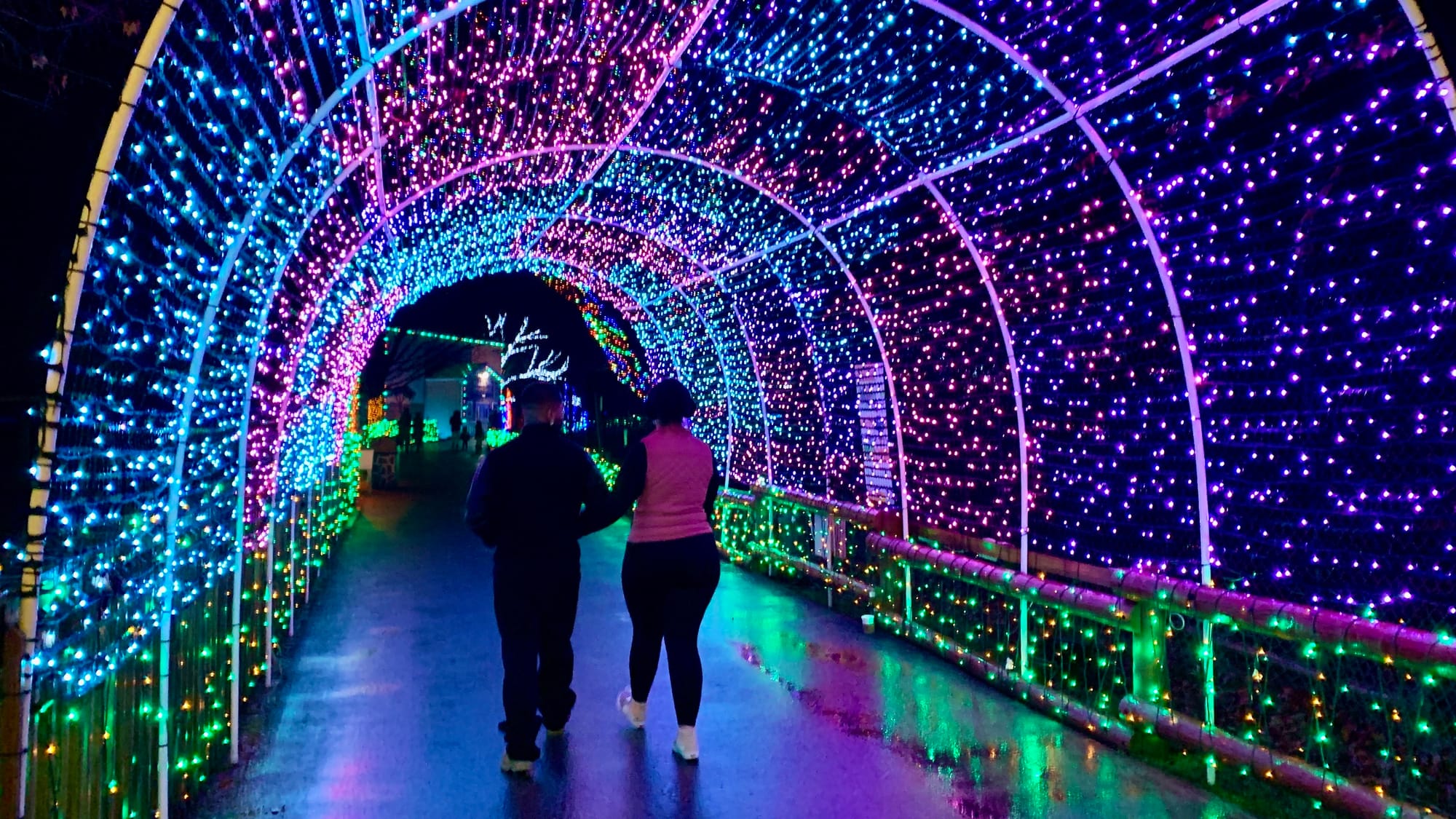 Lights at the Winter Light Spectacular.
