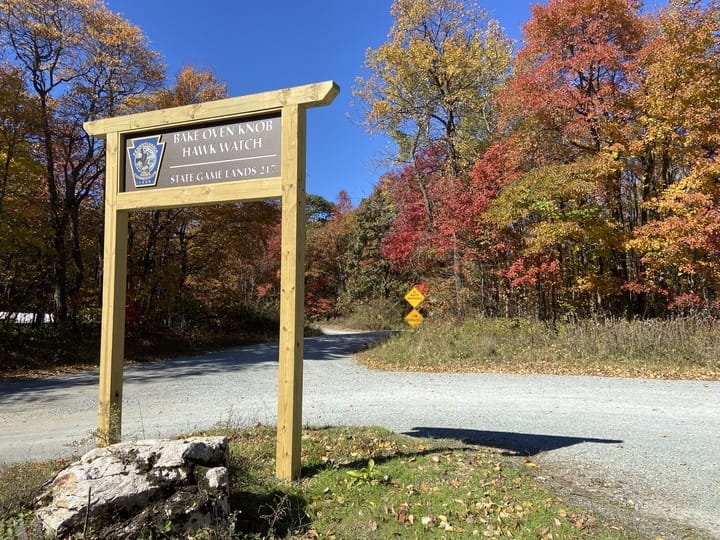Environment and Science Reporter Molly Bilinski, alongside Grace Oddo, social media specialist, trekked across the Lehigh Val