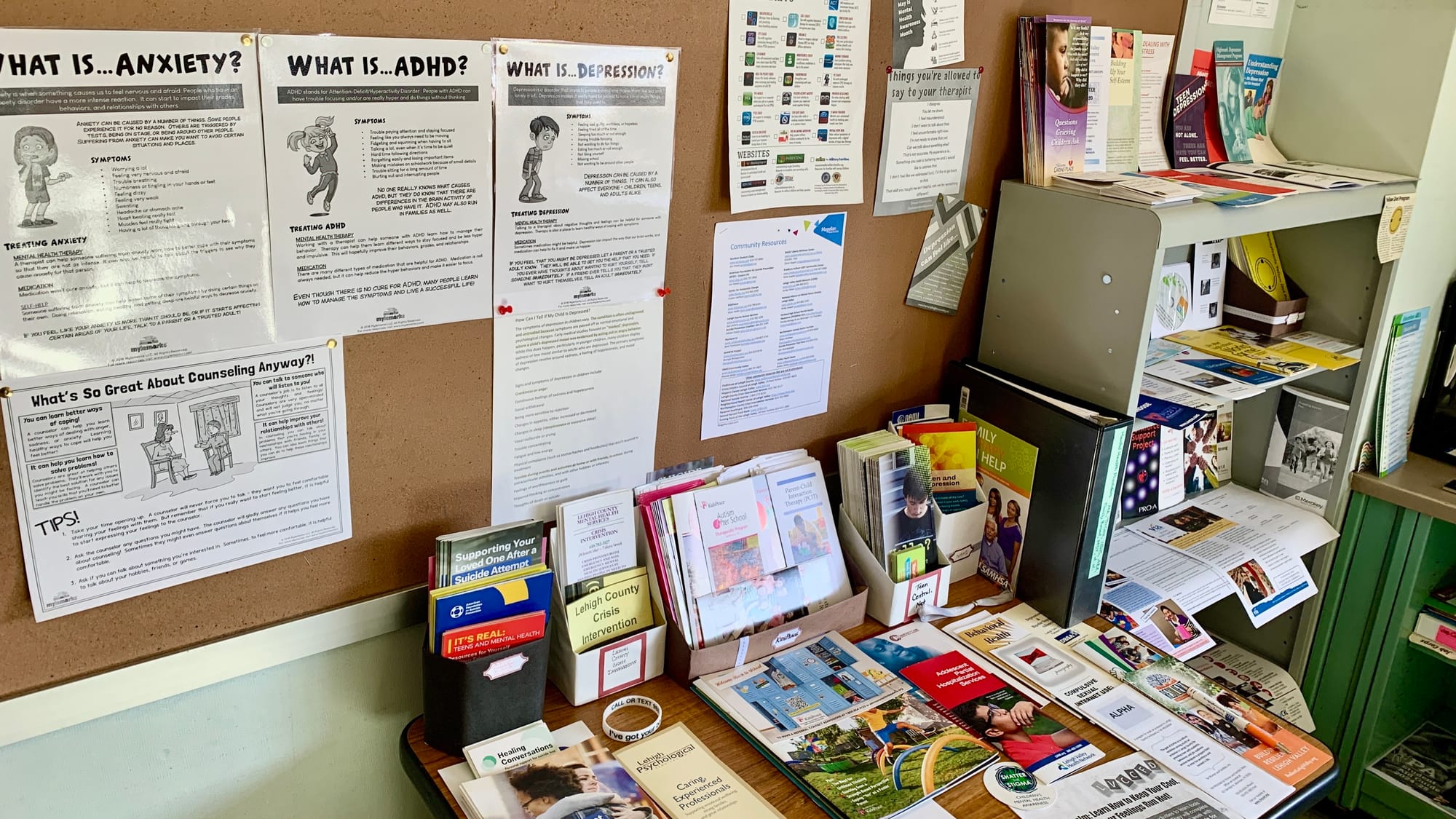 Brochures and information in the Parkland REACH Village.