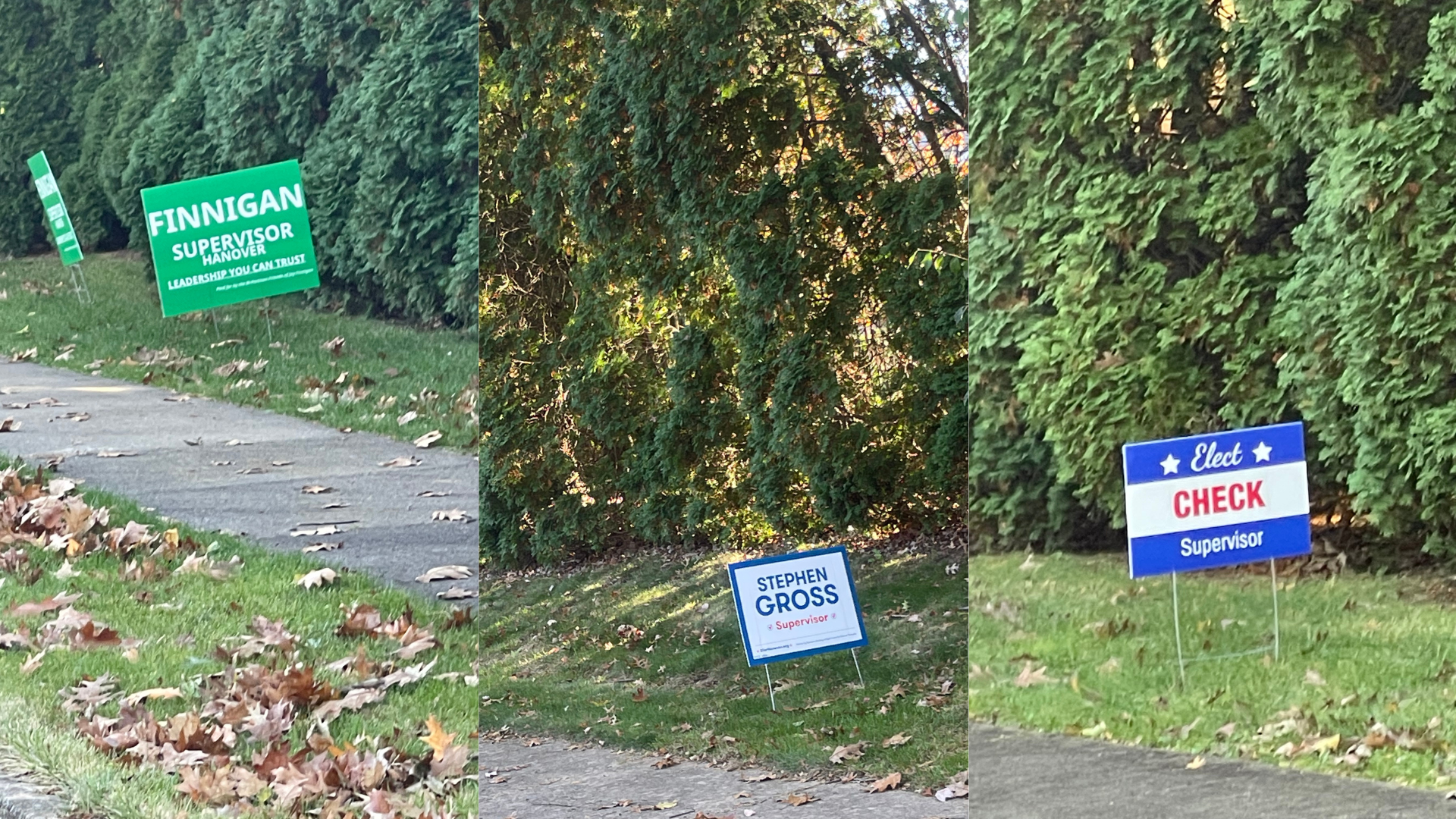 Candidates for the Hanover Township election posted signs on Crawford Road in Northampton County.