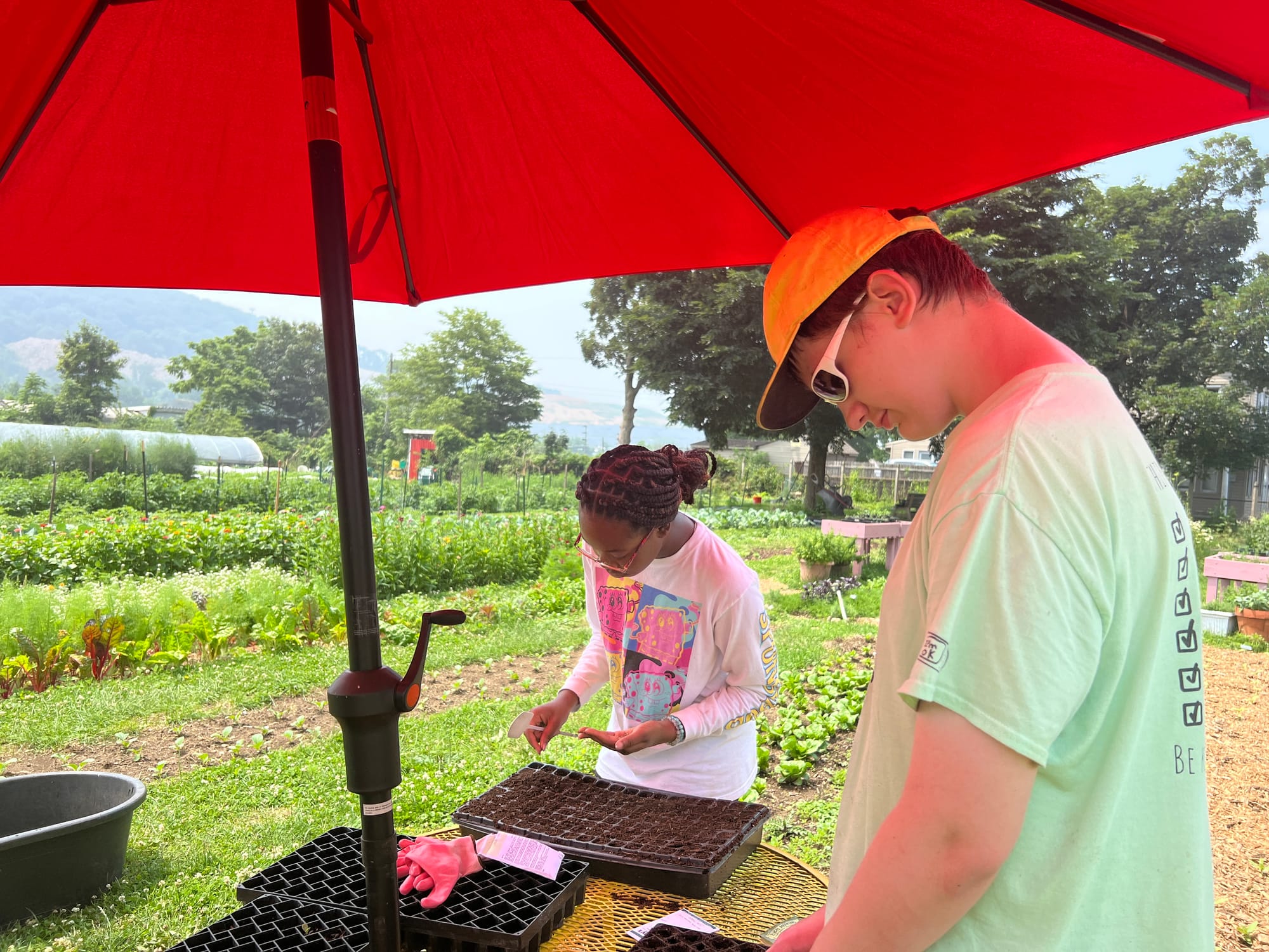 Layla and Ralph hard at work at Easton Urban Farm.