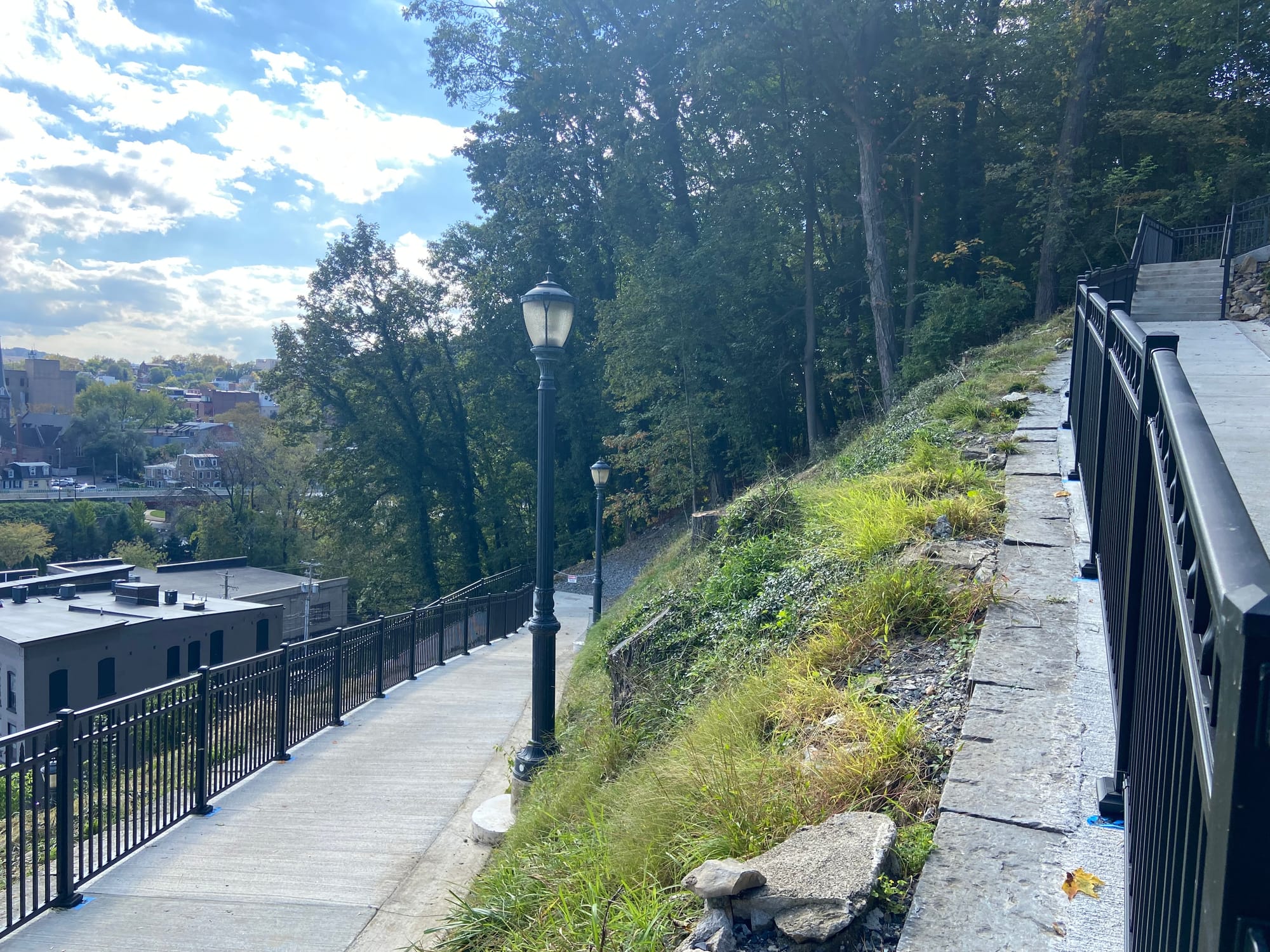 After clearing more than 40 trees and a slew of shrubs, the project violated the city’s steep slope conservation ordinance, w
