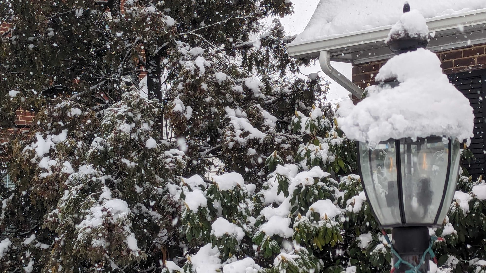 The Midway Manor neighborhood in Allentown received just over 5 inches of snow overnight from Saturday, January 6, 2024 to Su