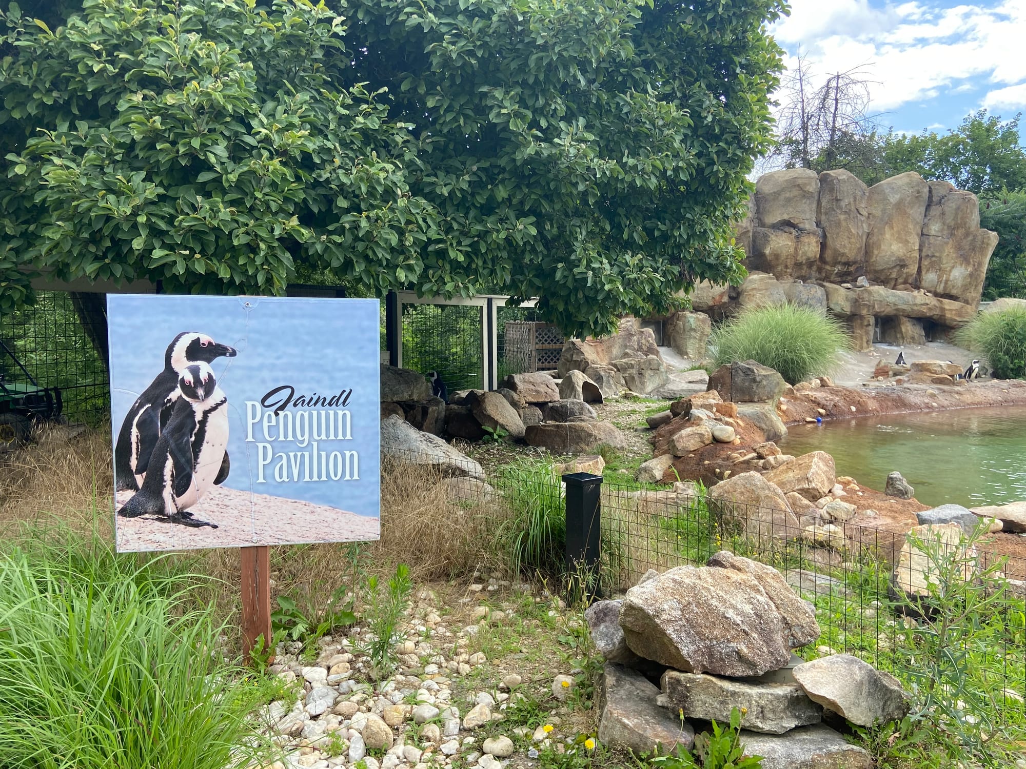 The Lehigh Valley Zoo on Tuesday held its annual "Independence Day Celebration." The event included patriotic enrichment for 